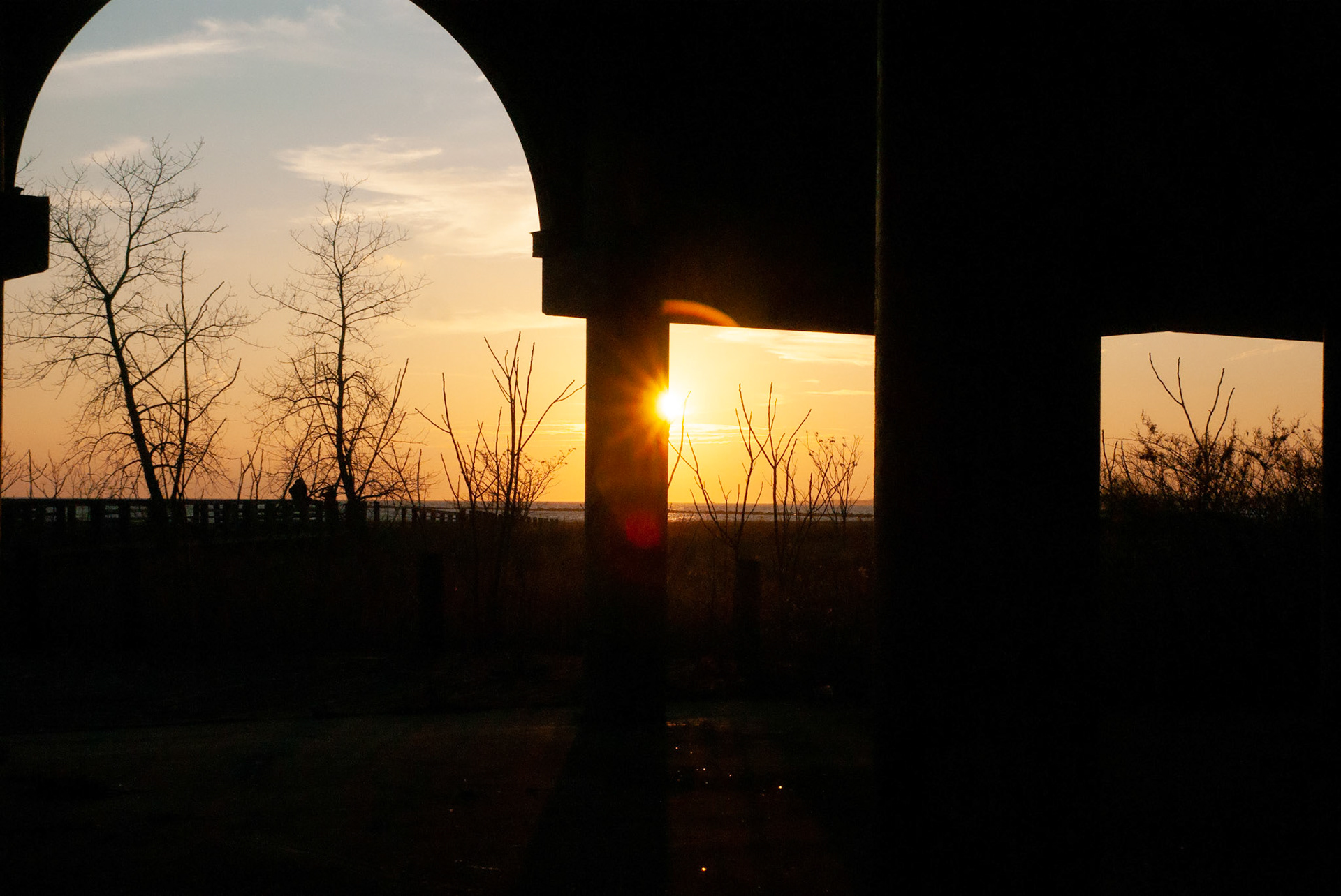 SONY DSC