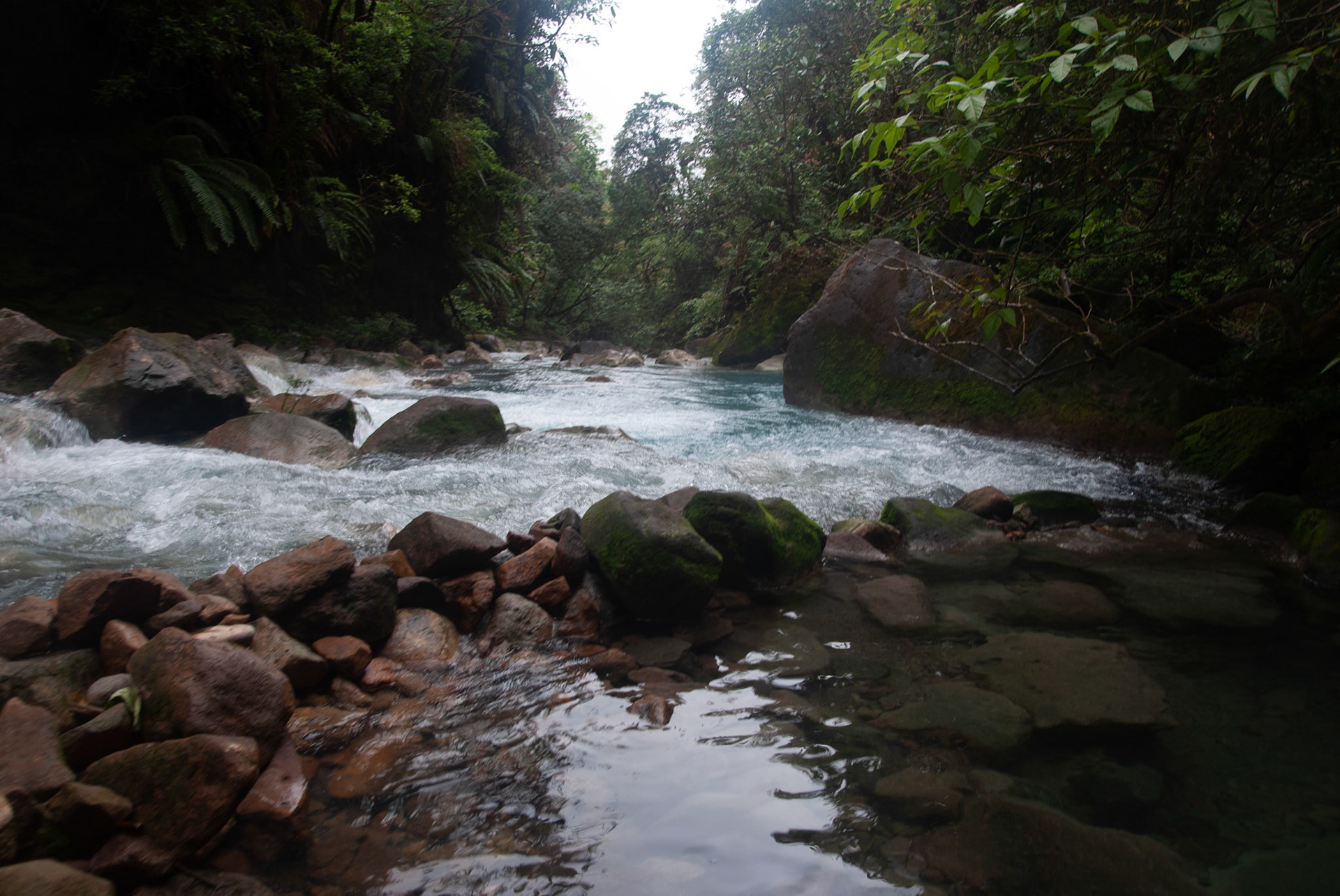 SONY DSC
