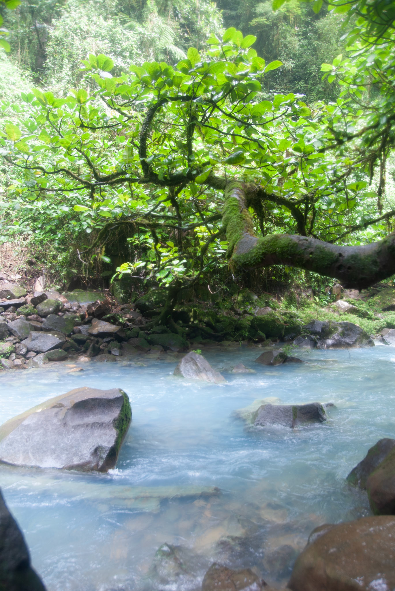 SONY DSC