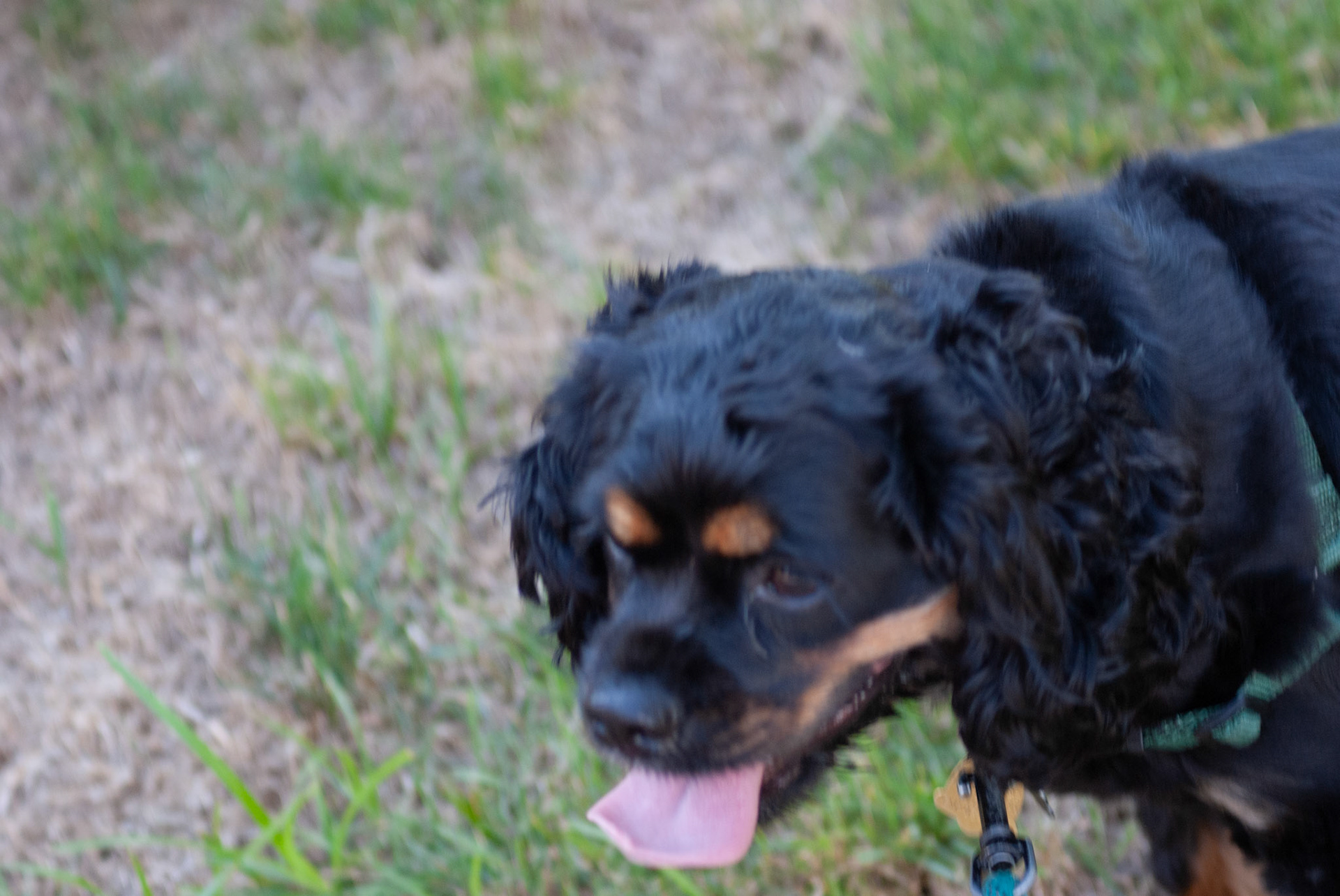 SONY DSC