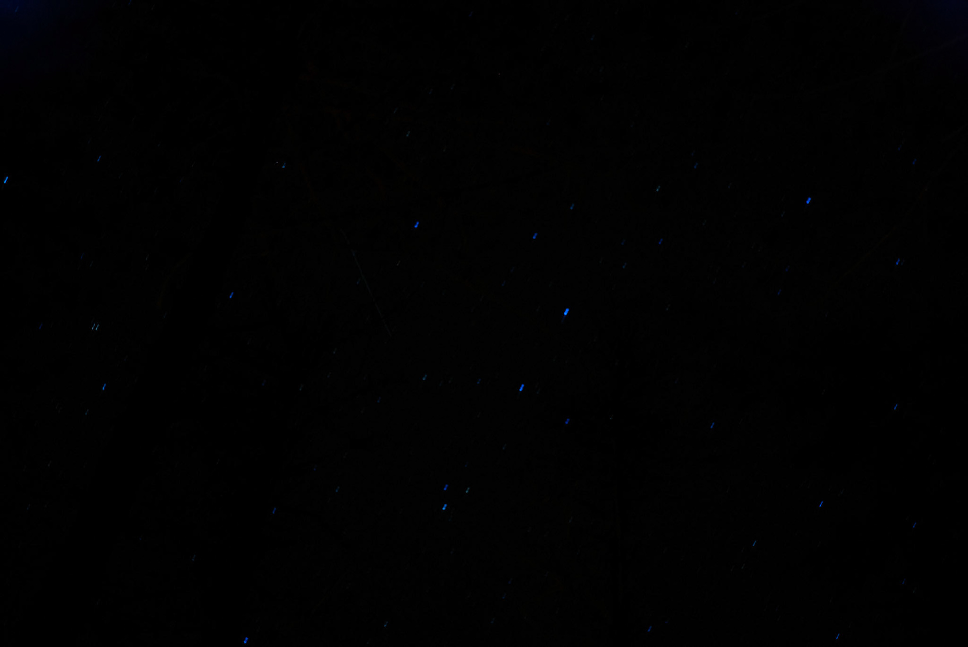 SONY DSC