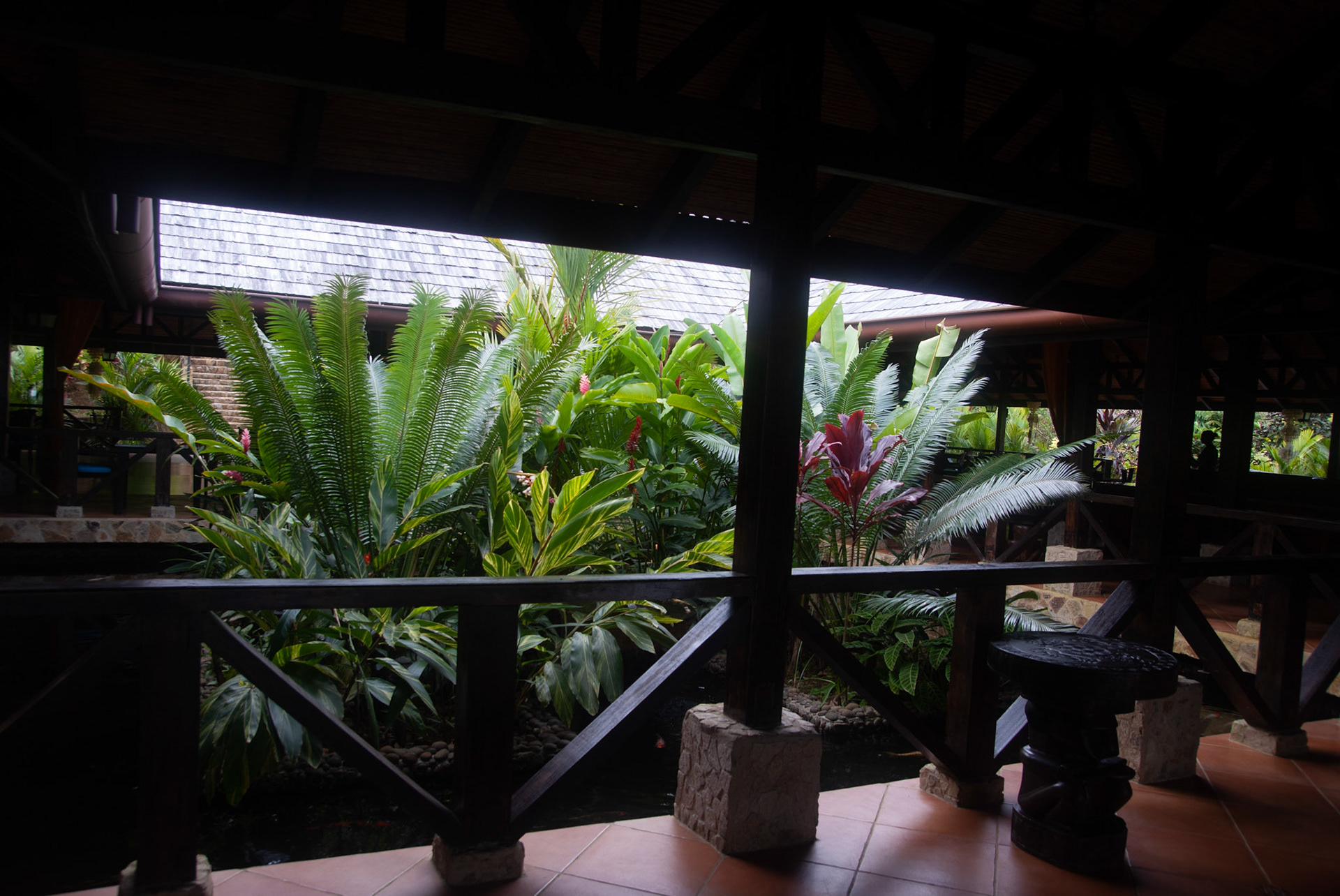 SONY DSC