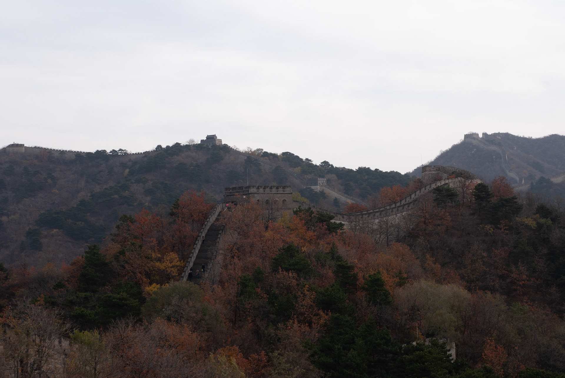 SONY DSC