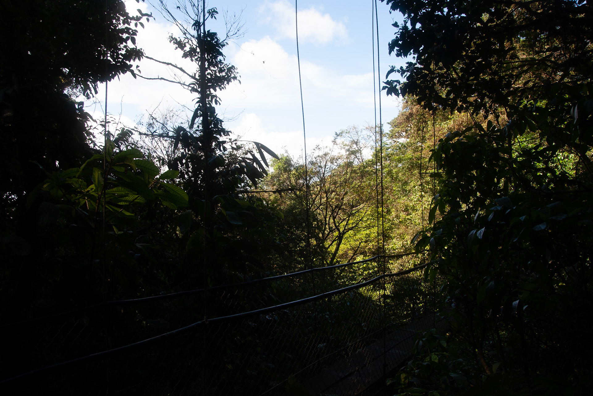 SONY DSC