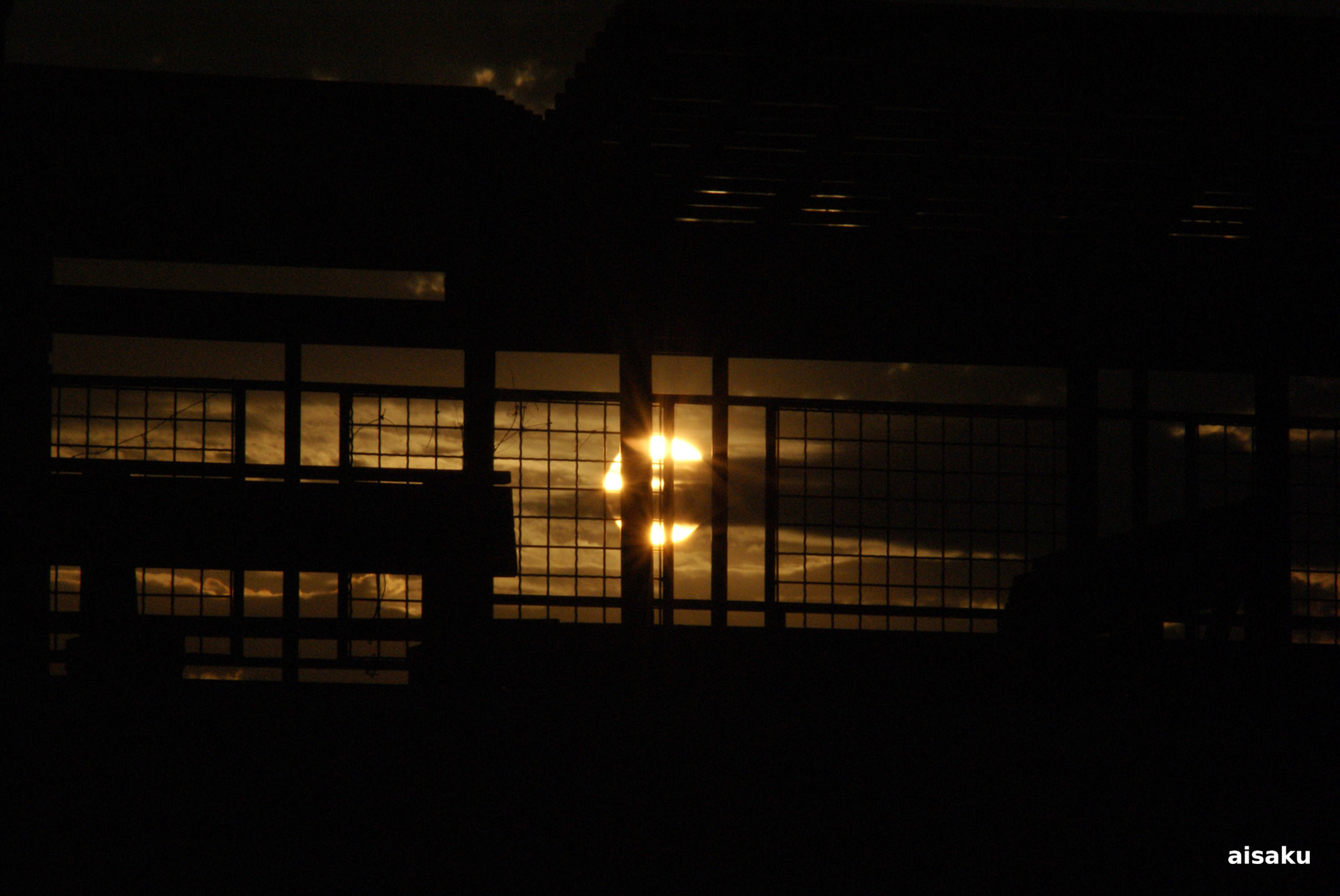 SONY DSC