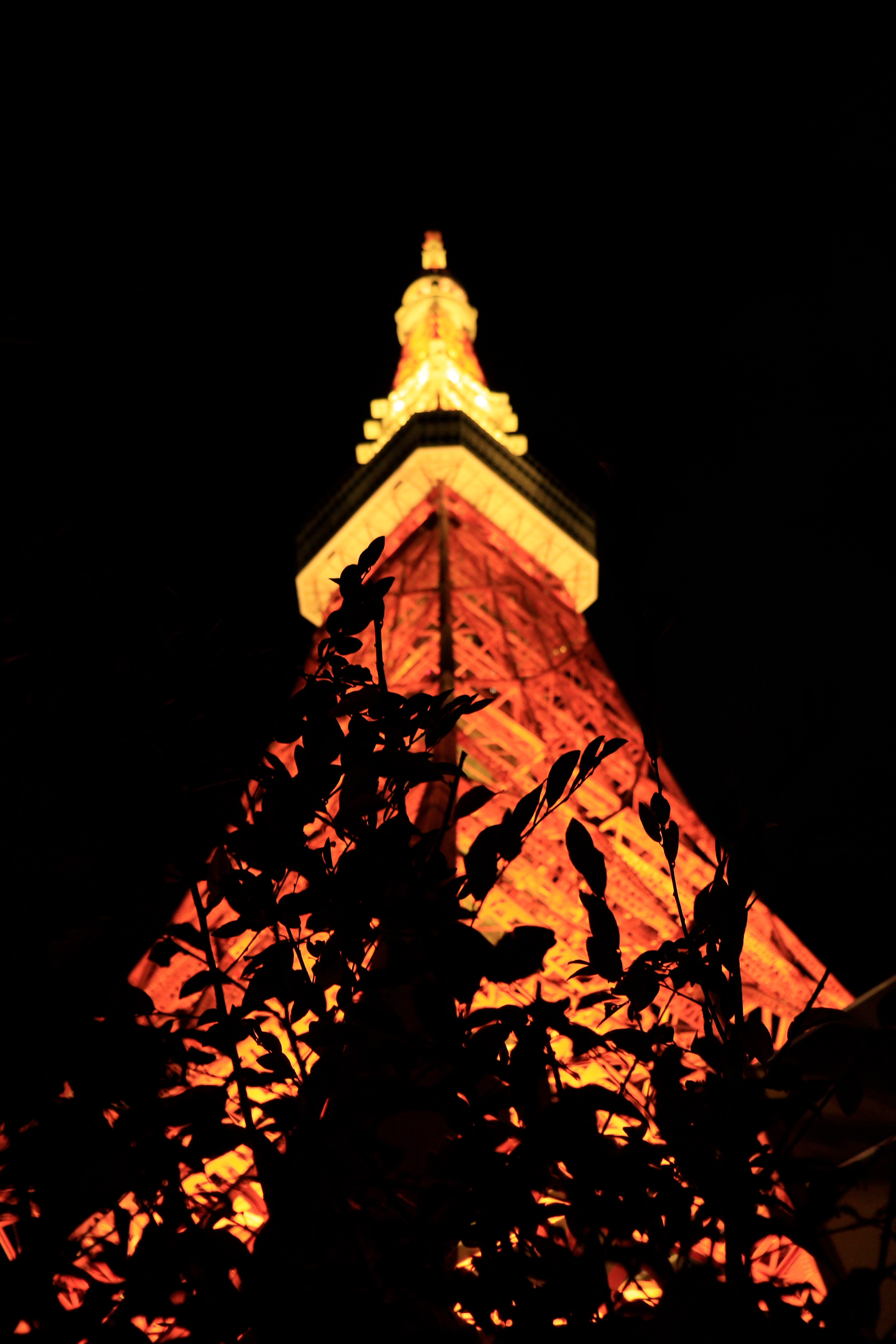 Tokyo Tower