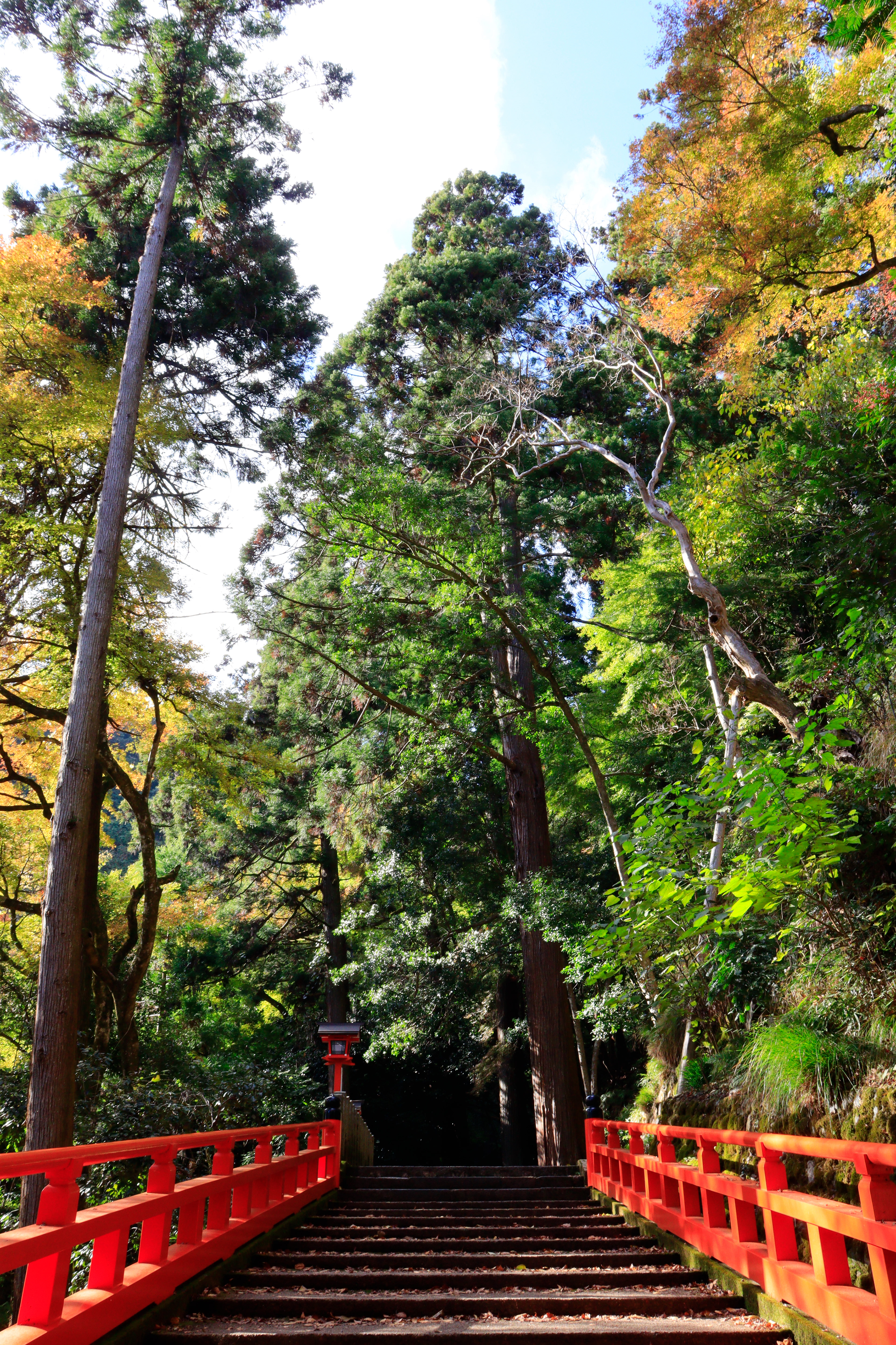 Kurama Mountain Kyōto