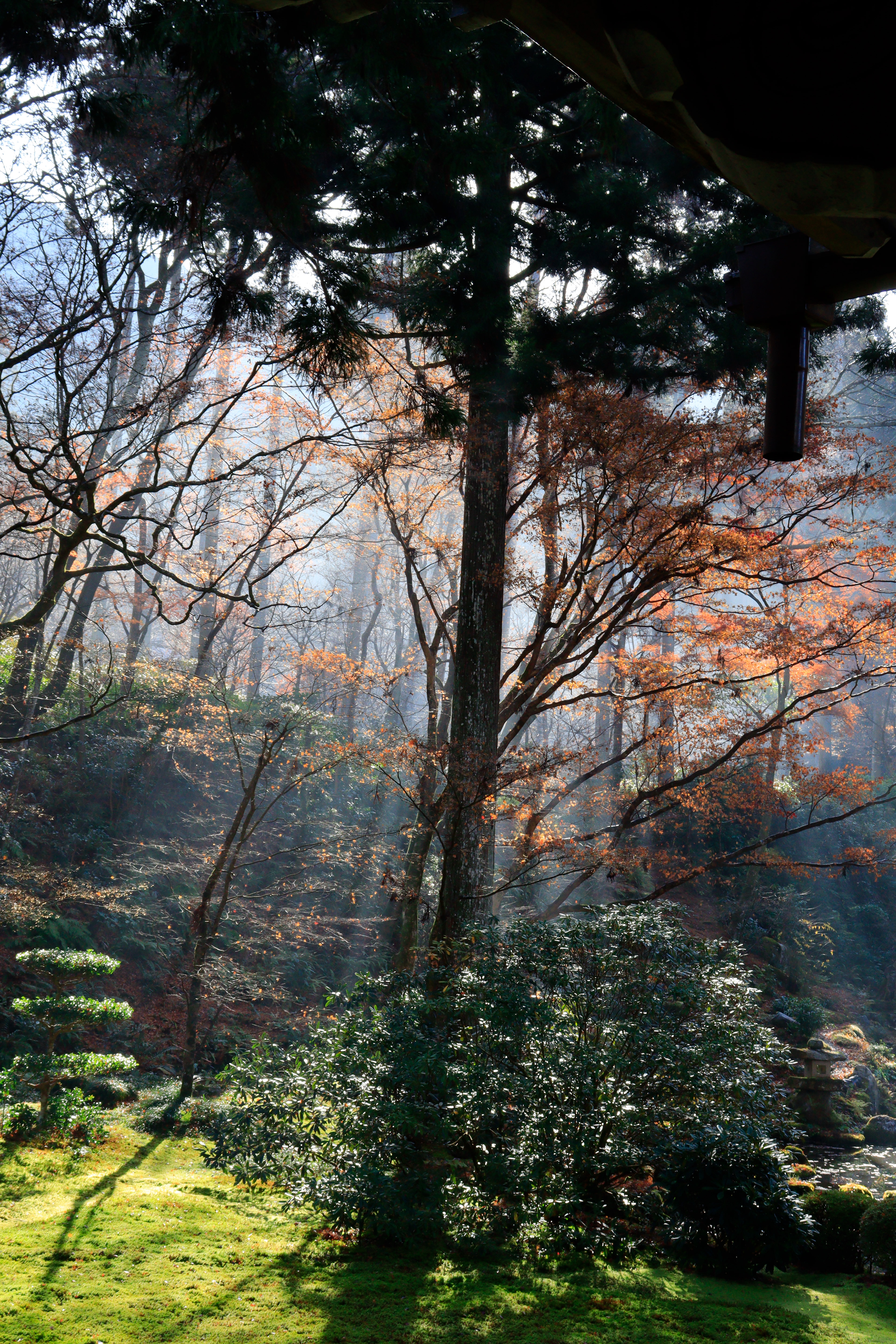 Sanzen-in Kyōto