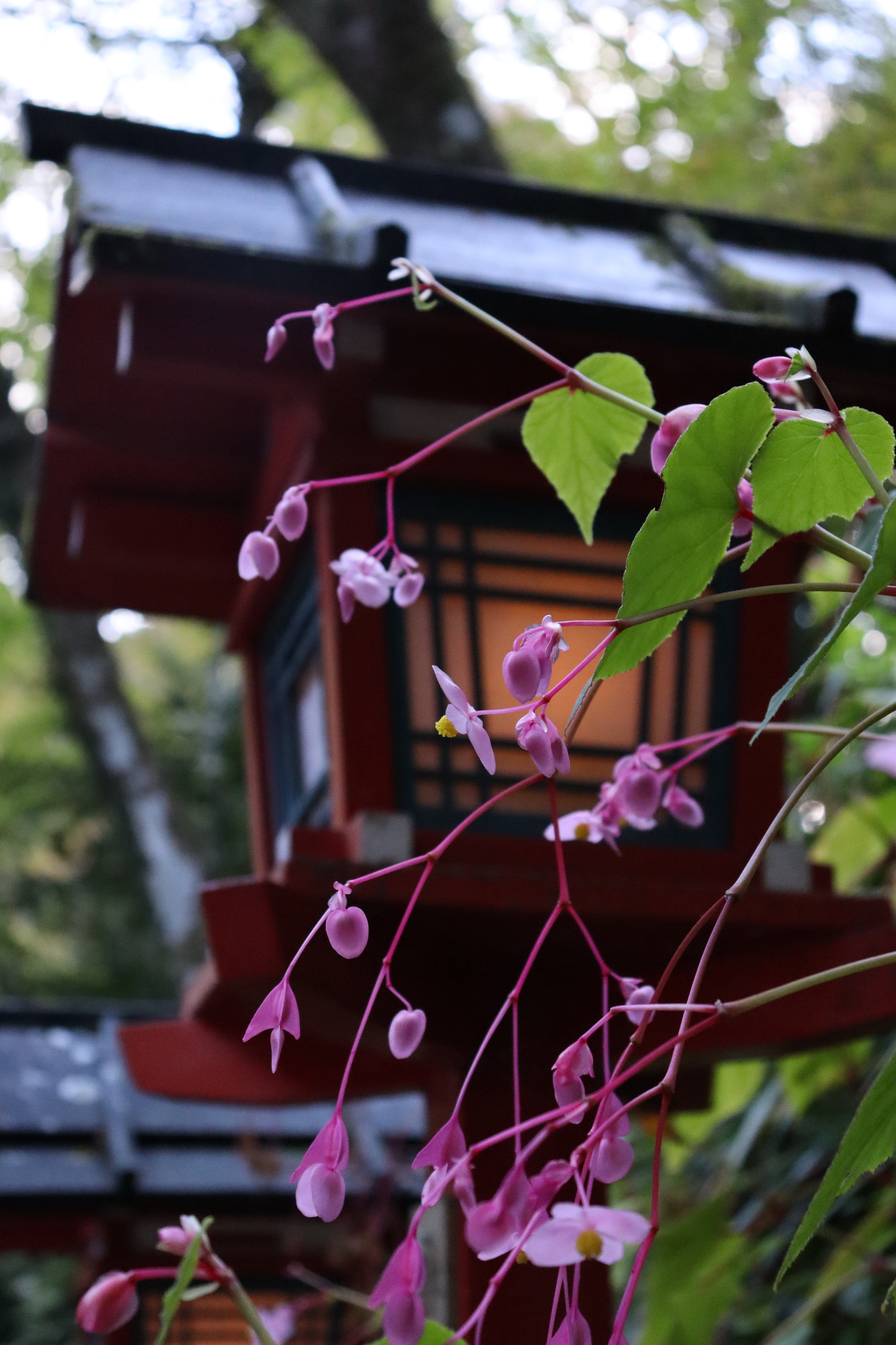 Kifune-jinja Kyōto