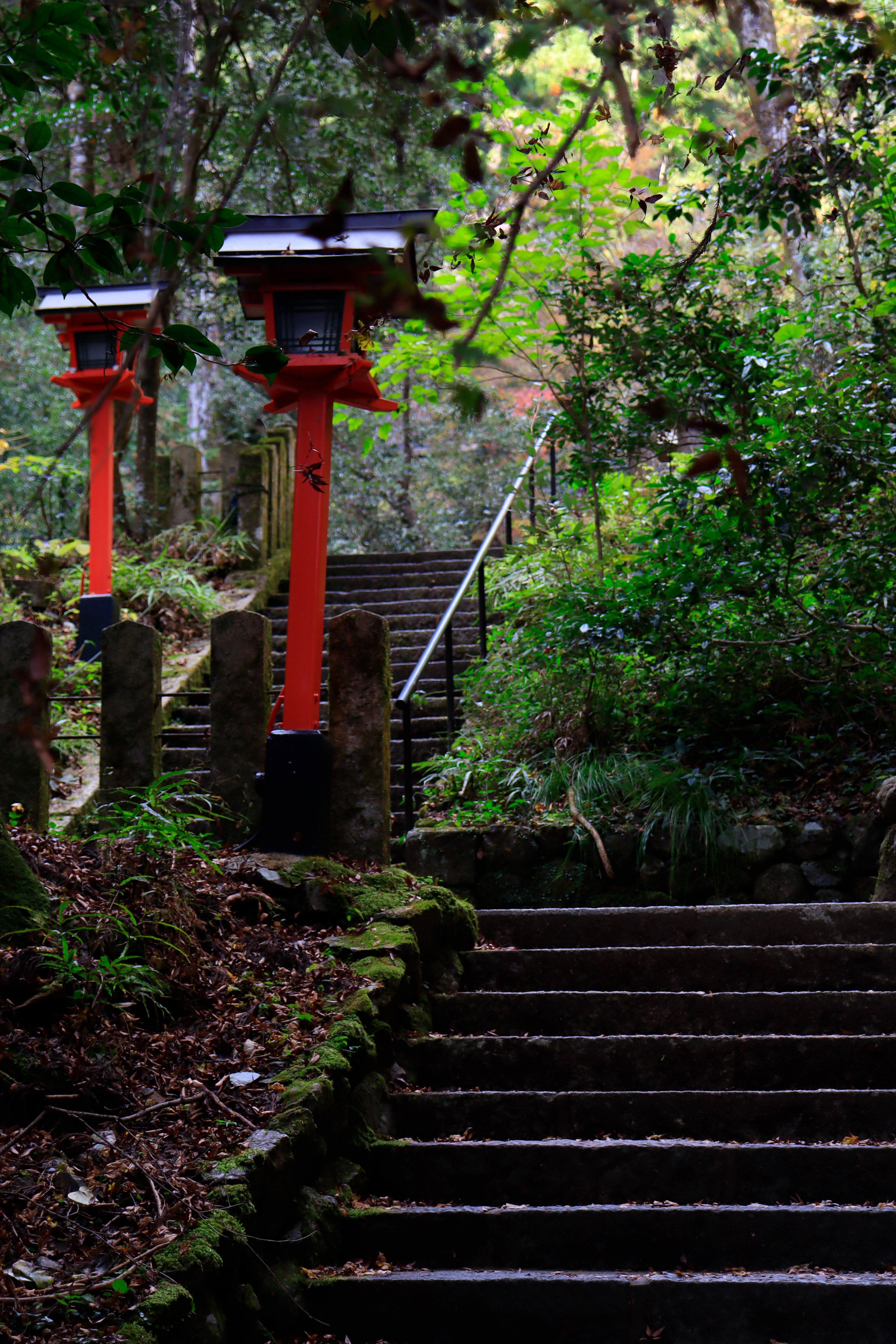 Kurama Mountain Kyōto