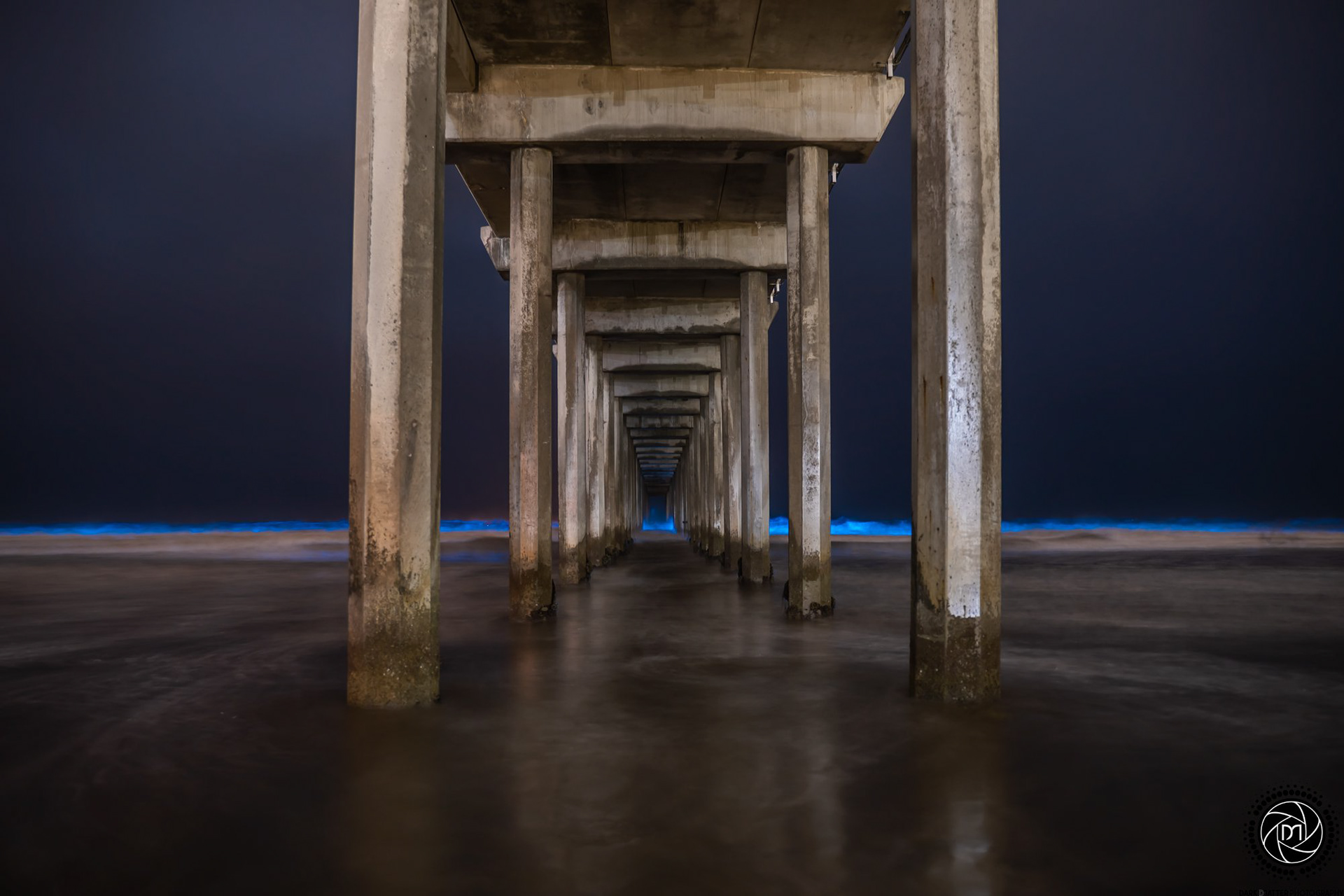 Biolumessence