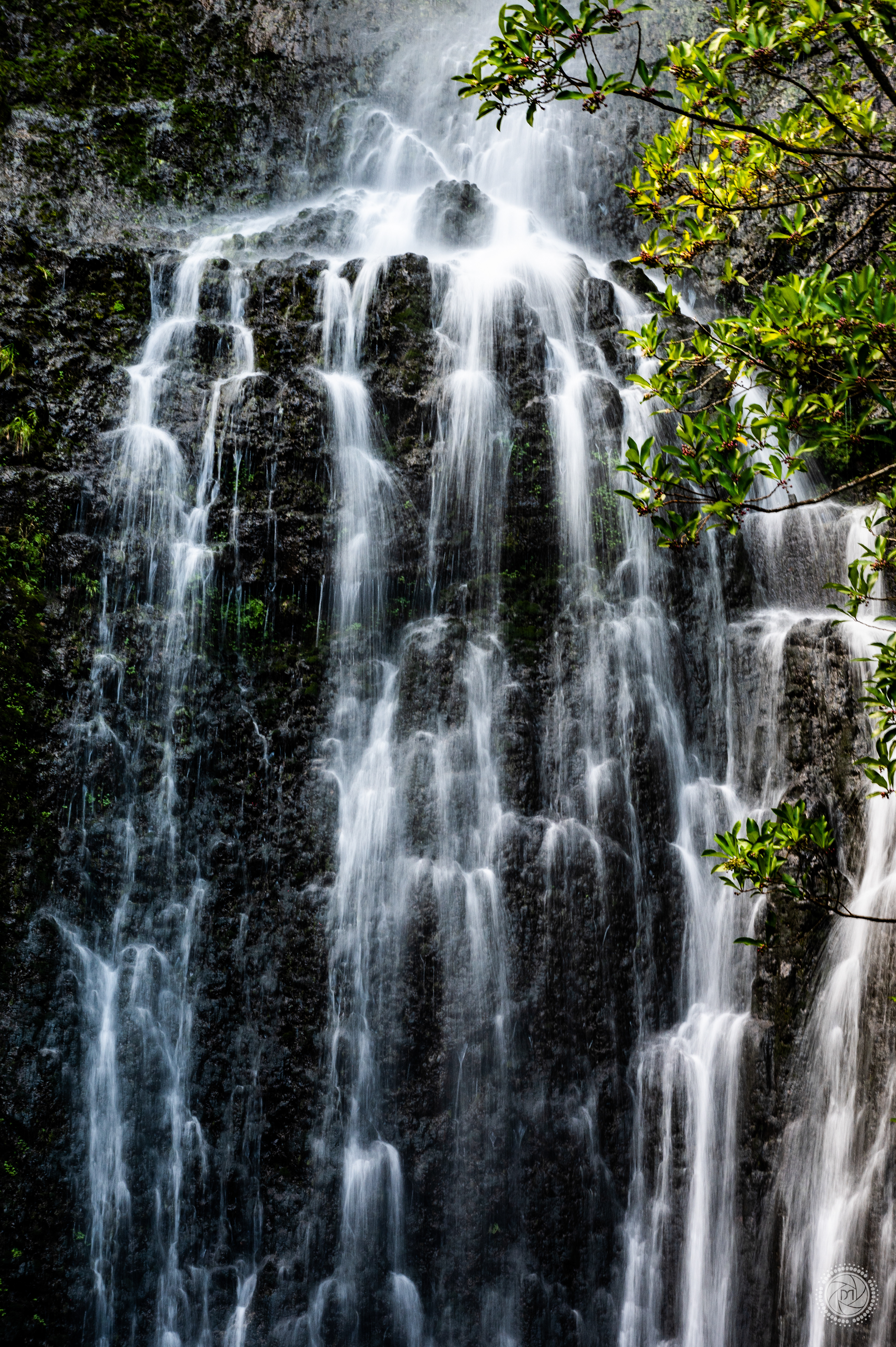 Maui
