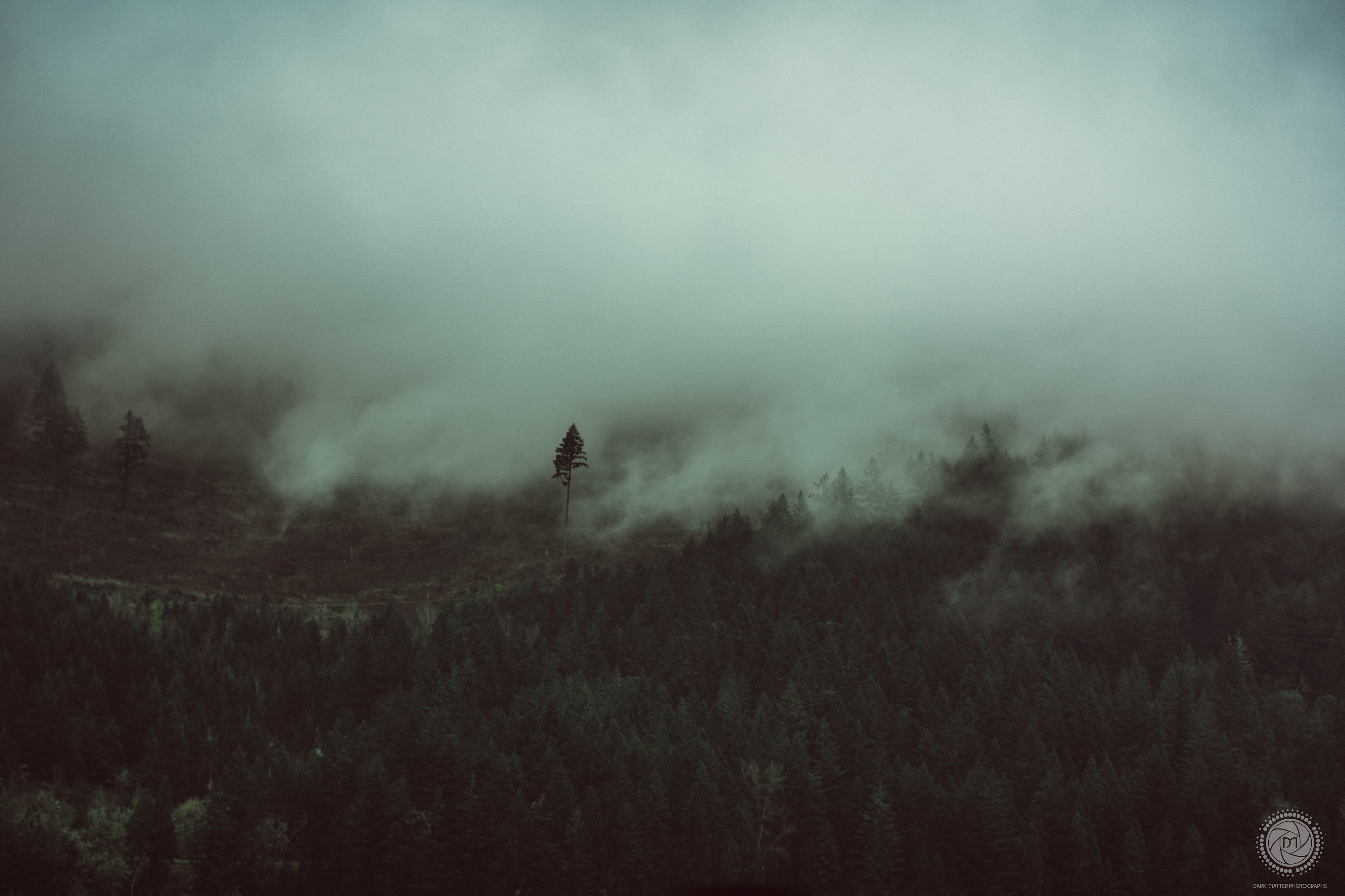 Stand Alone