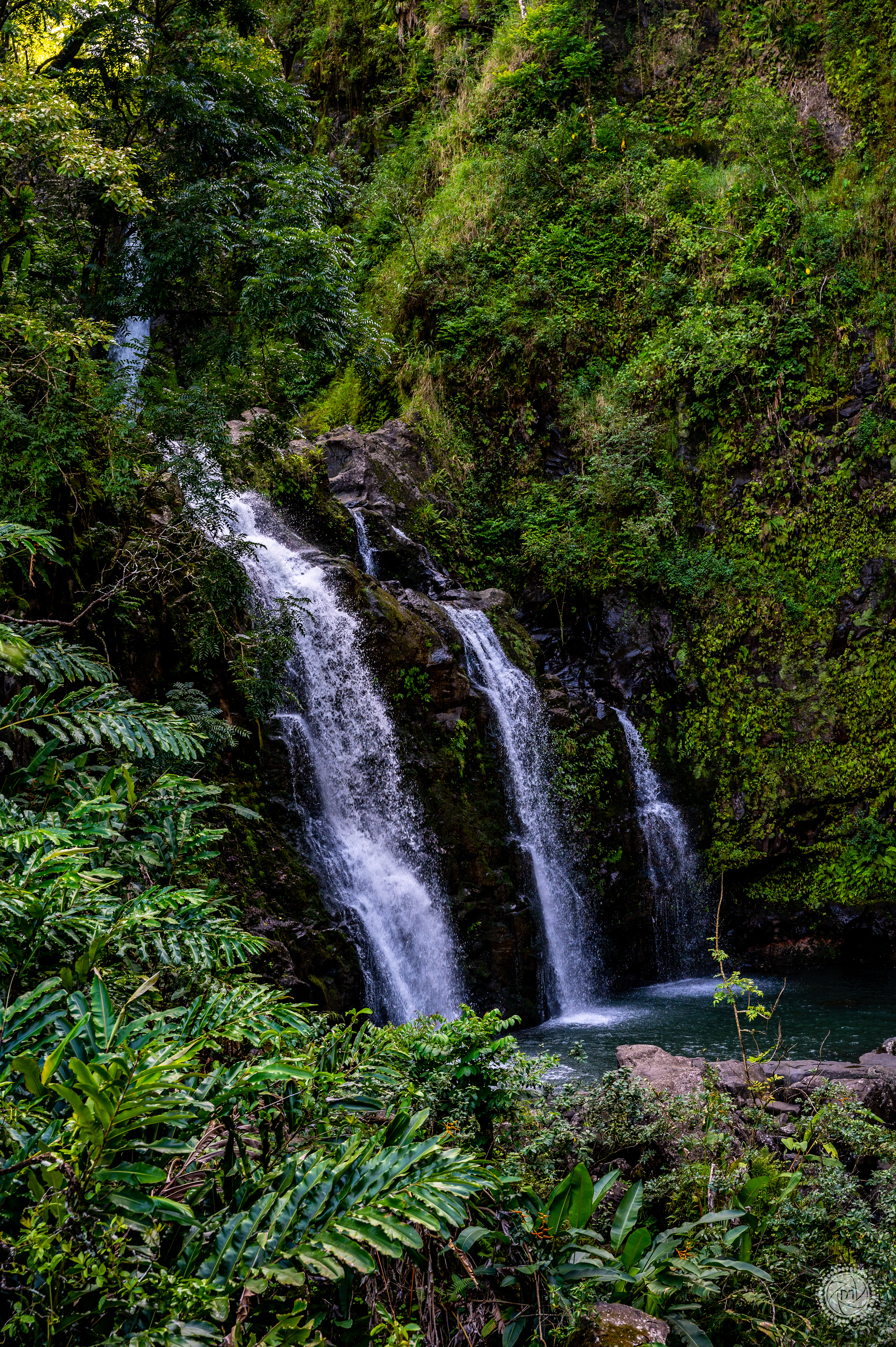 Maui
