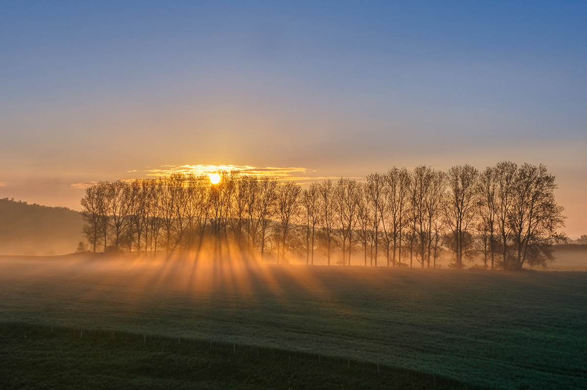 Sunrise