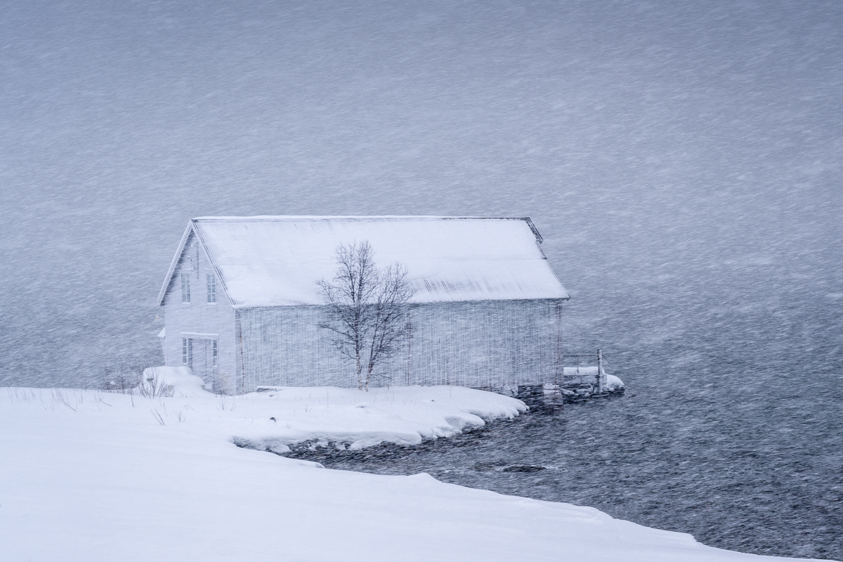 Cabin in a blizzard