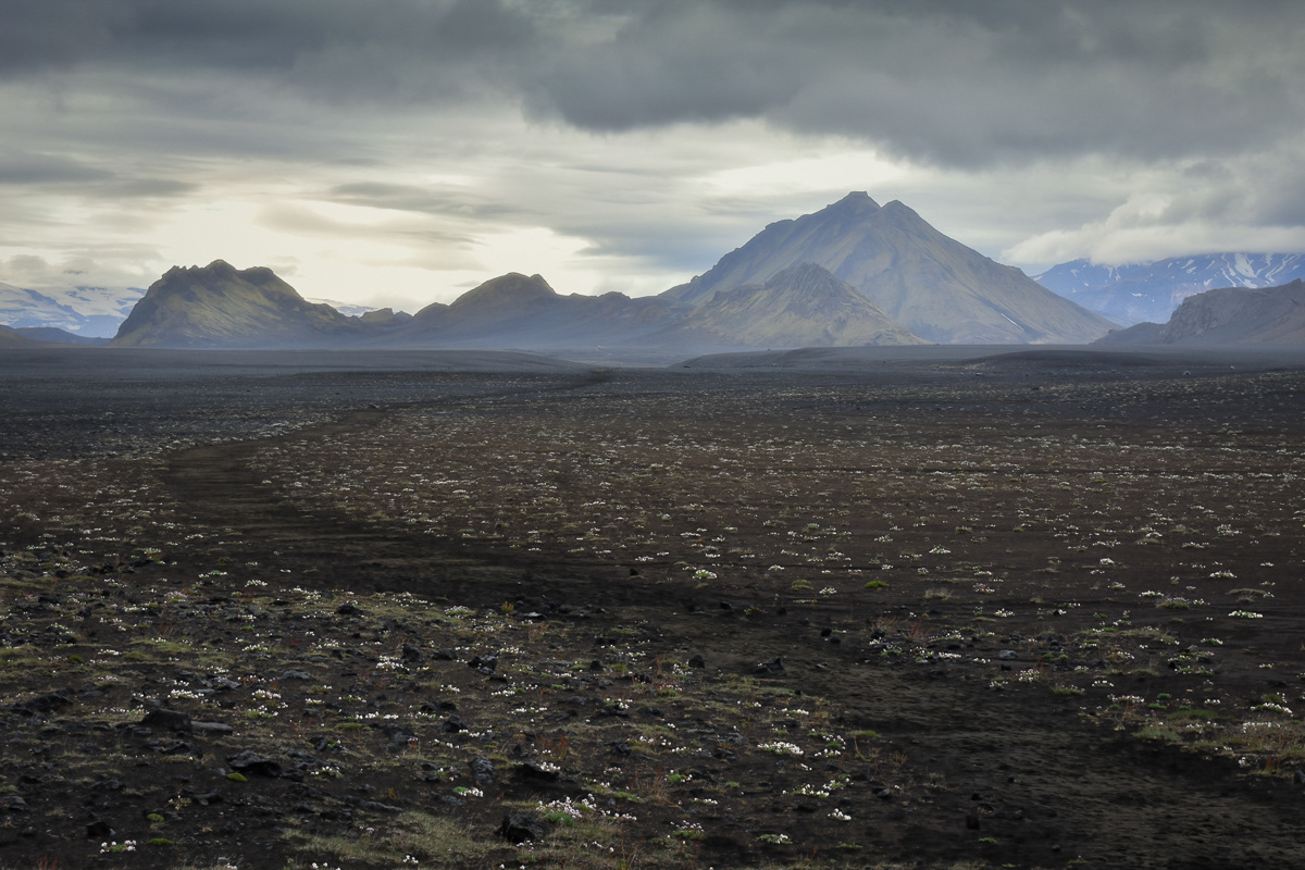 Iceland