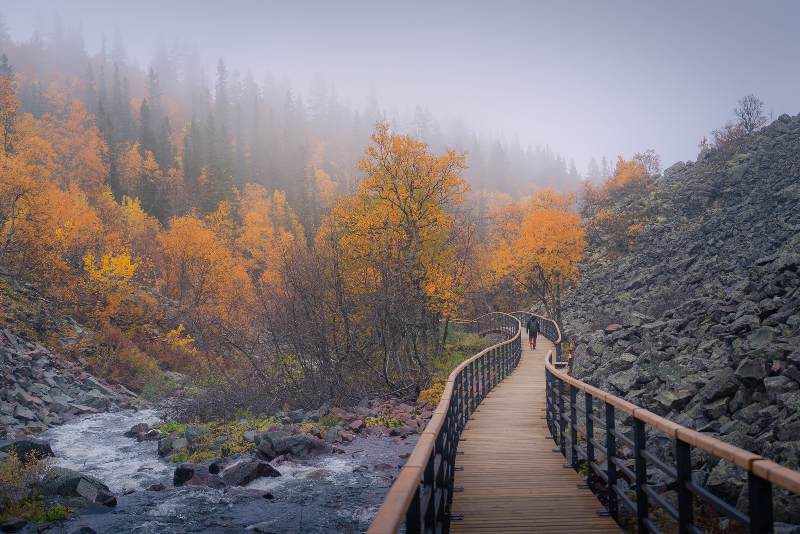Autumn fulufjällets national park