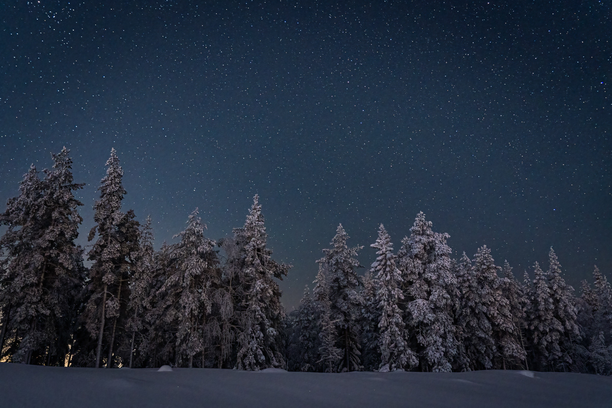Winter night