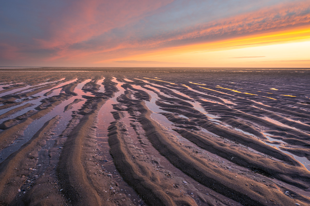 Maasvlakte strand