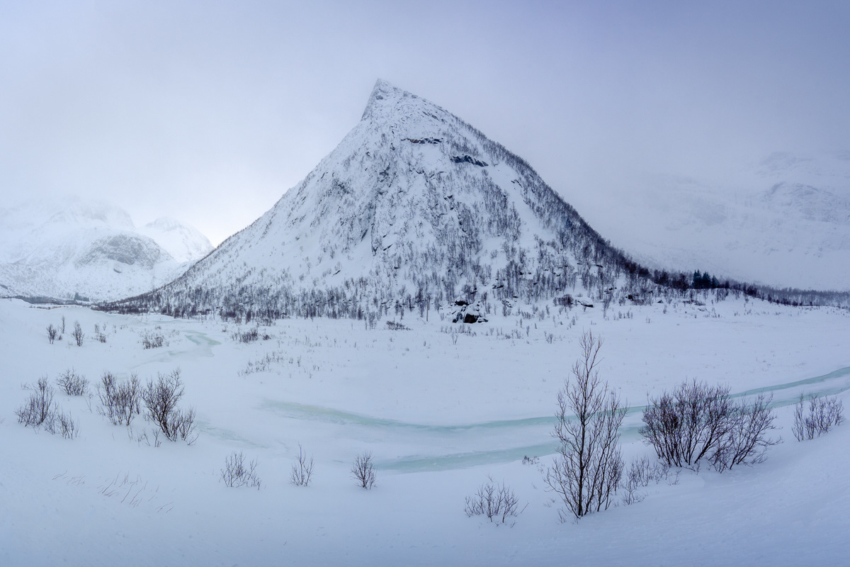 Ersfjord on Senja