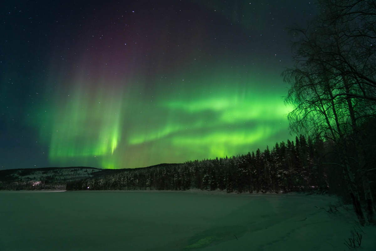 Northern lights