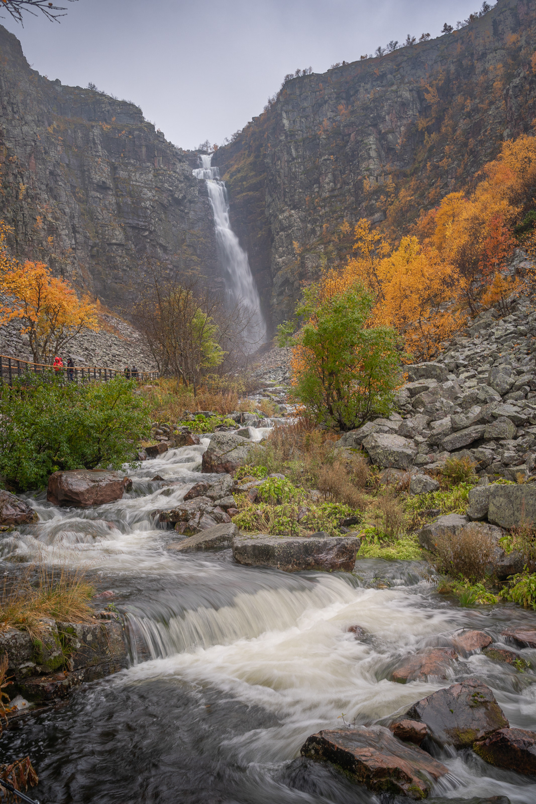 Autumn fulufjällets national park