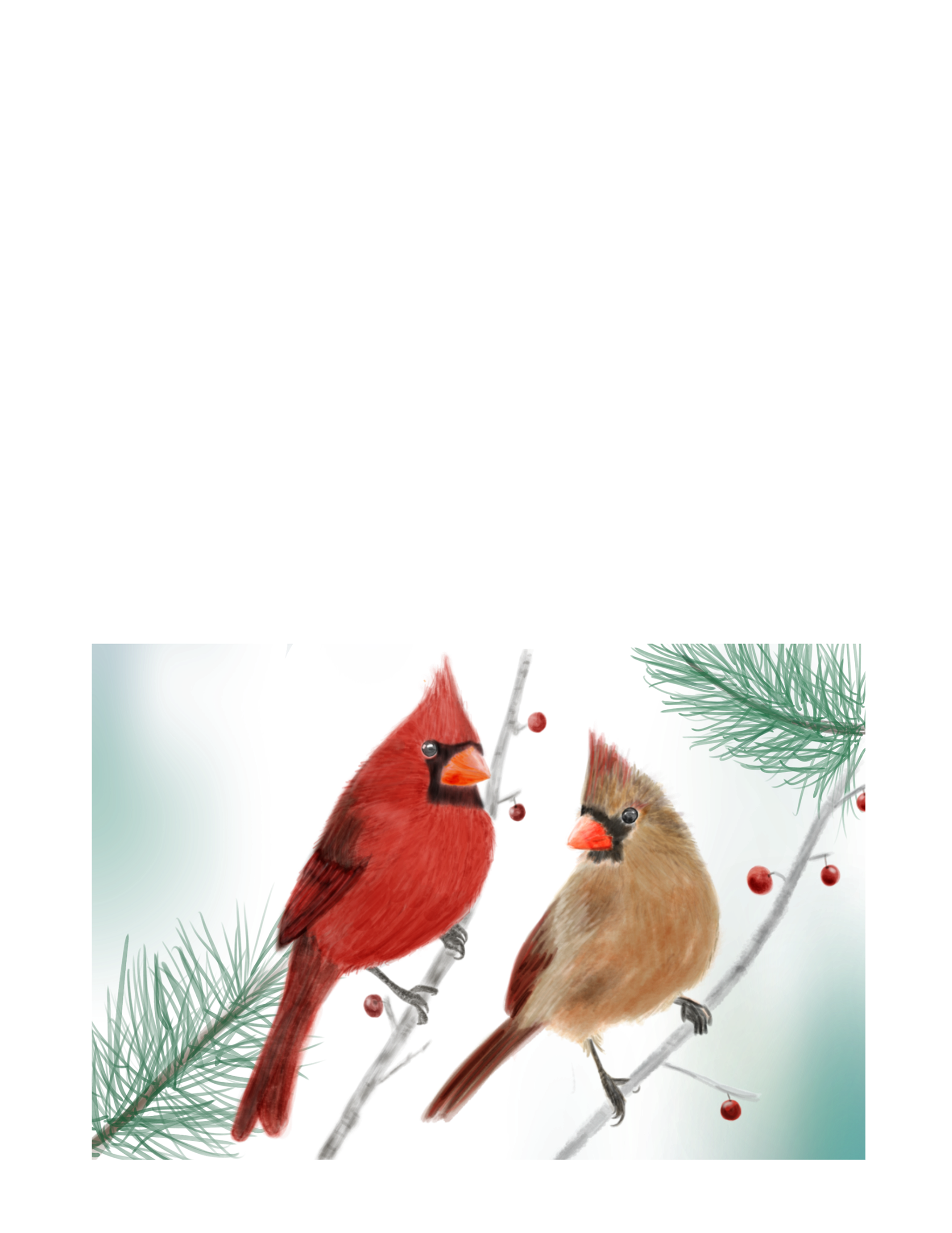 Cardinal Mates Illustration (Etsy)