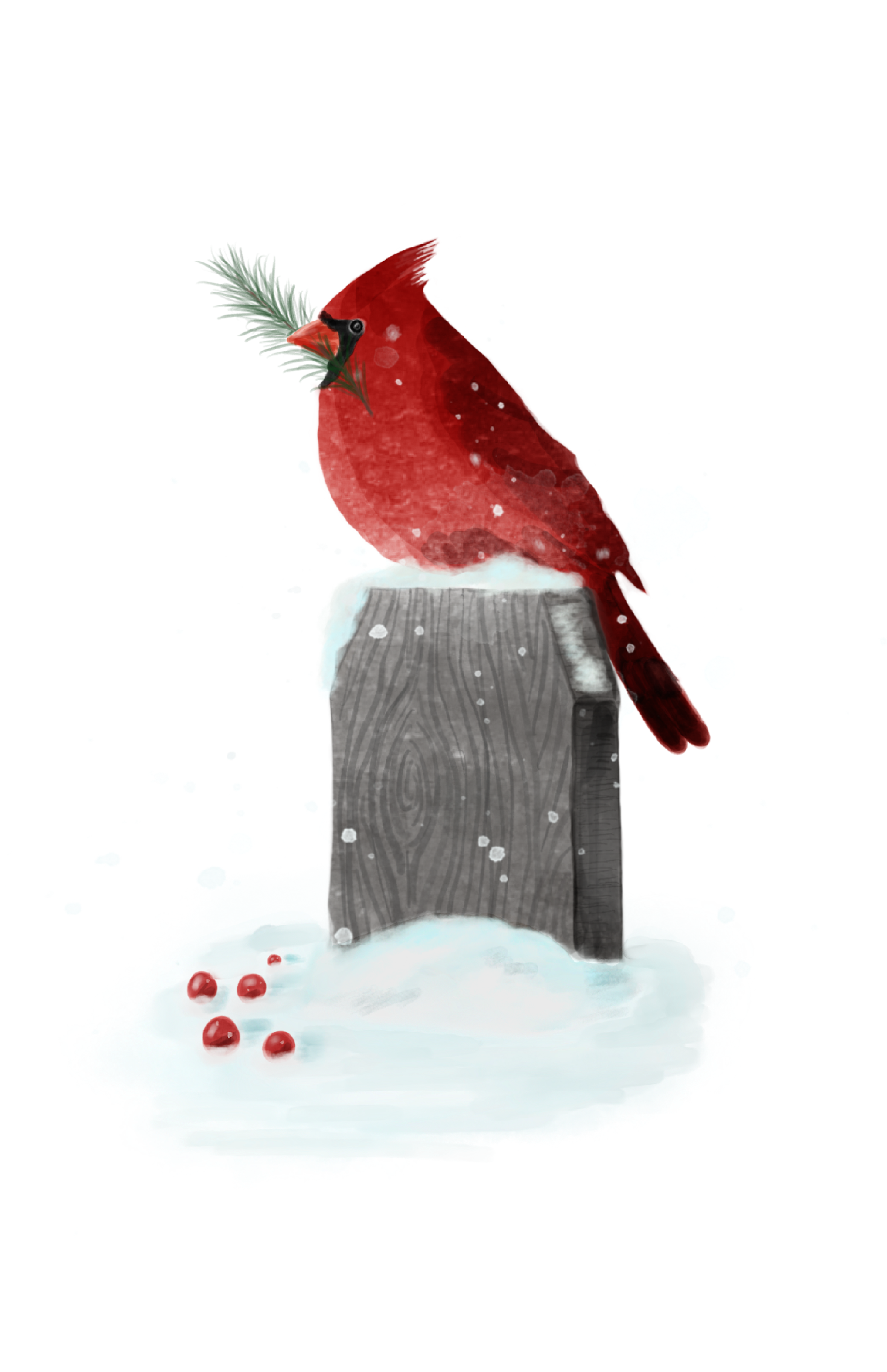Christmas Cardinal Illustration (Etsy)