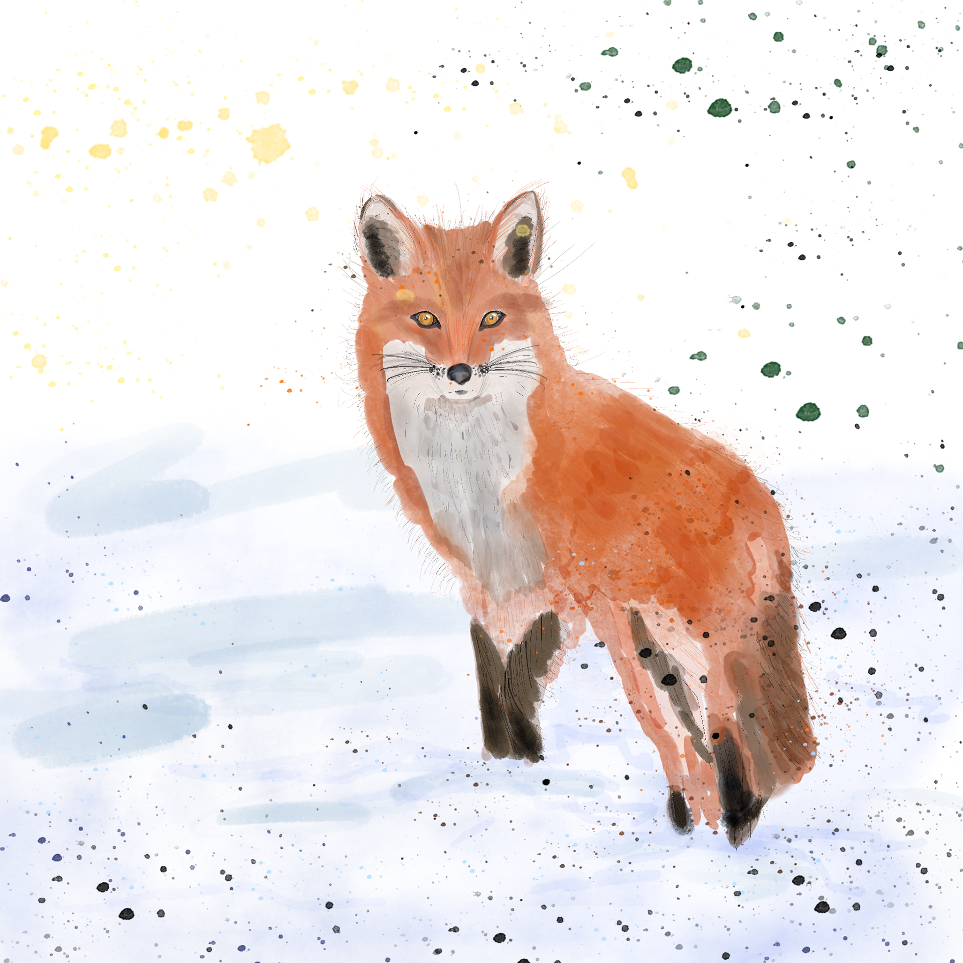 Fox Illustration