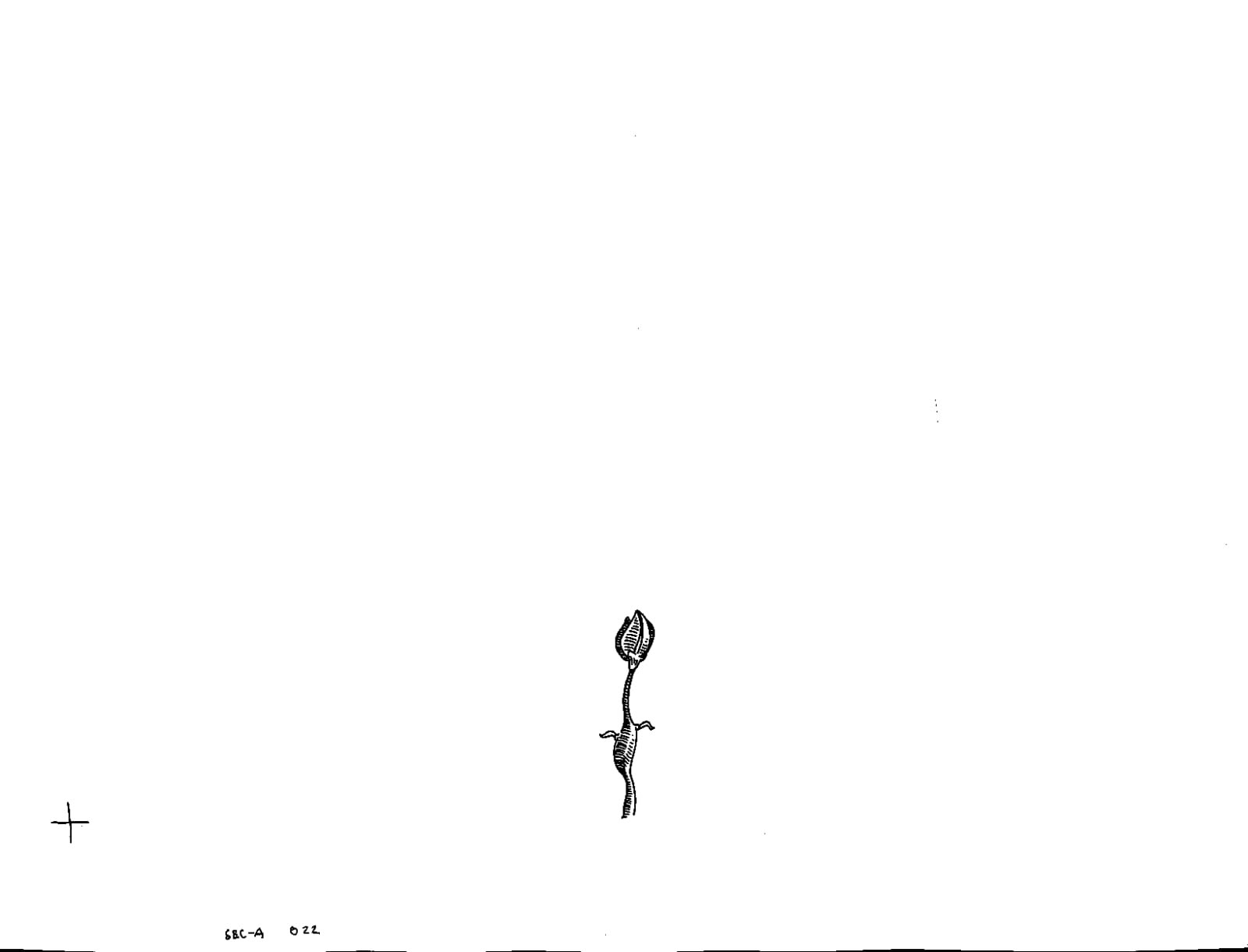 Hand drawn frame for "Plants Die Too."