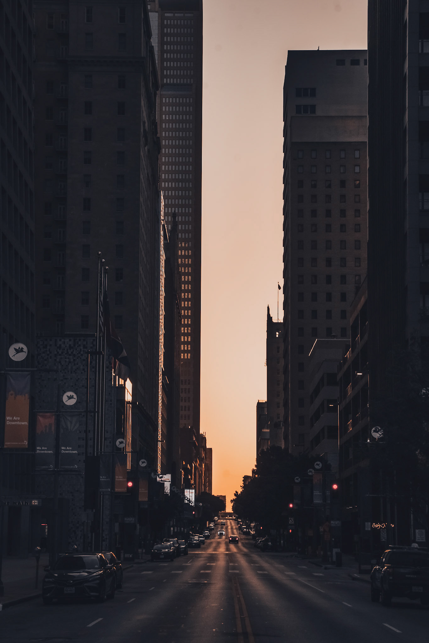 2021 - Dallas, Texas - digital photograph