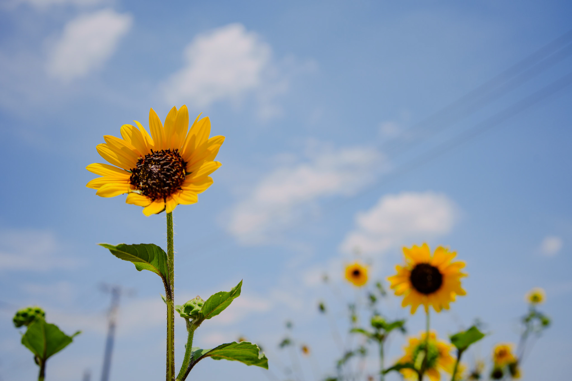 2024-Fort Worth-digital photograph