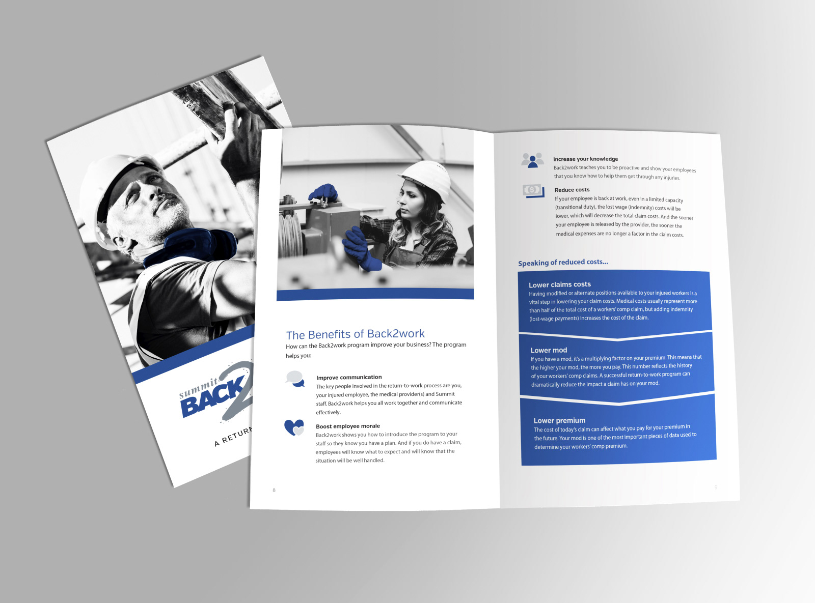 Transitional Work Brochure