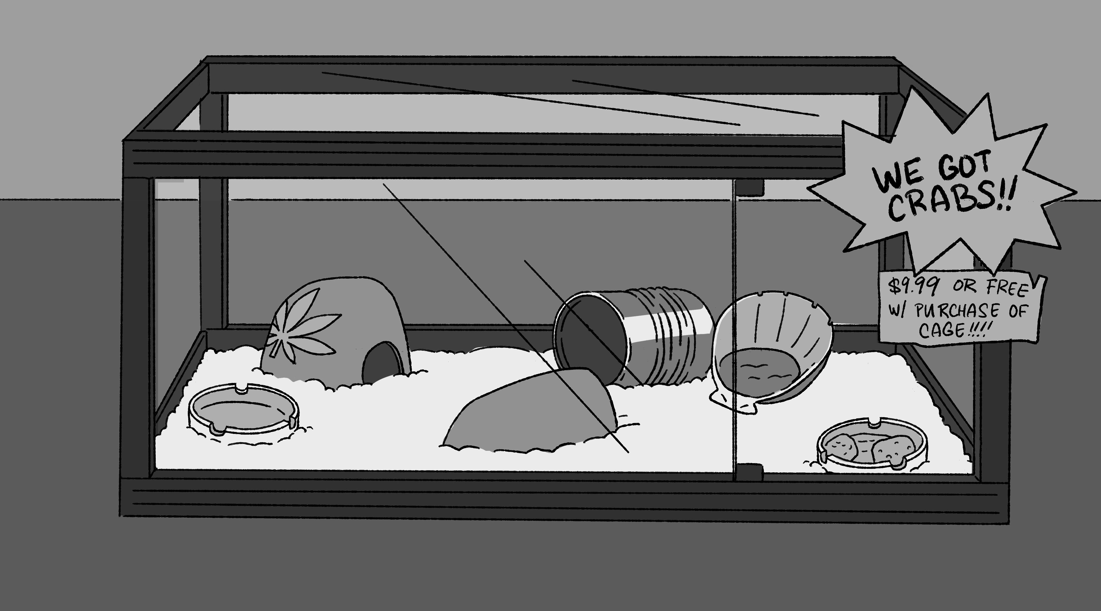 Souvenir Shop BG Layout Sketch