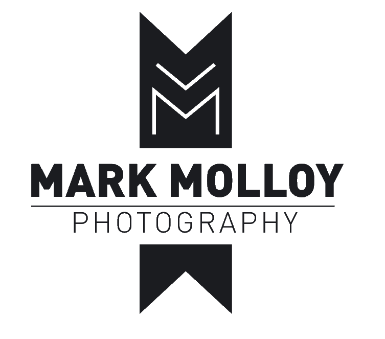 mark molloy