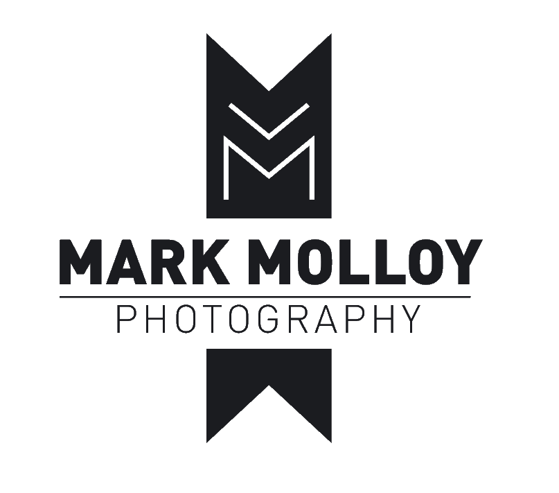 mark molloy