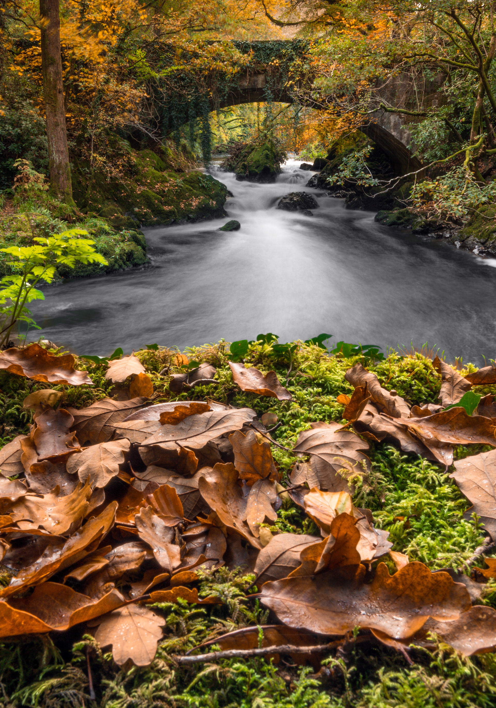 Borodale Bridge (Co. Wexford)