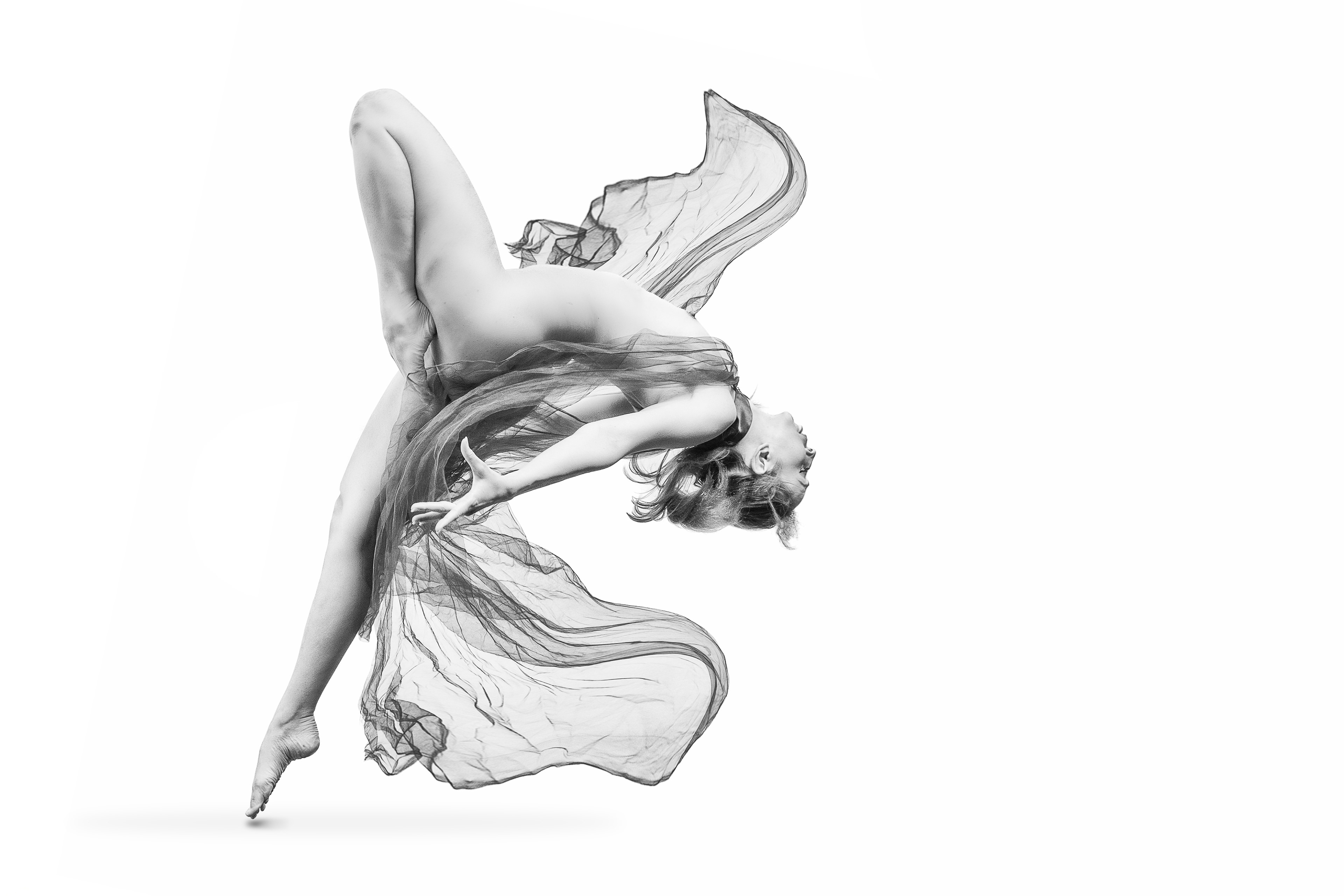 won photosalon ribbon