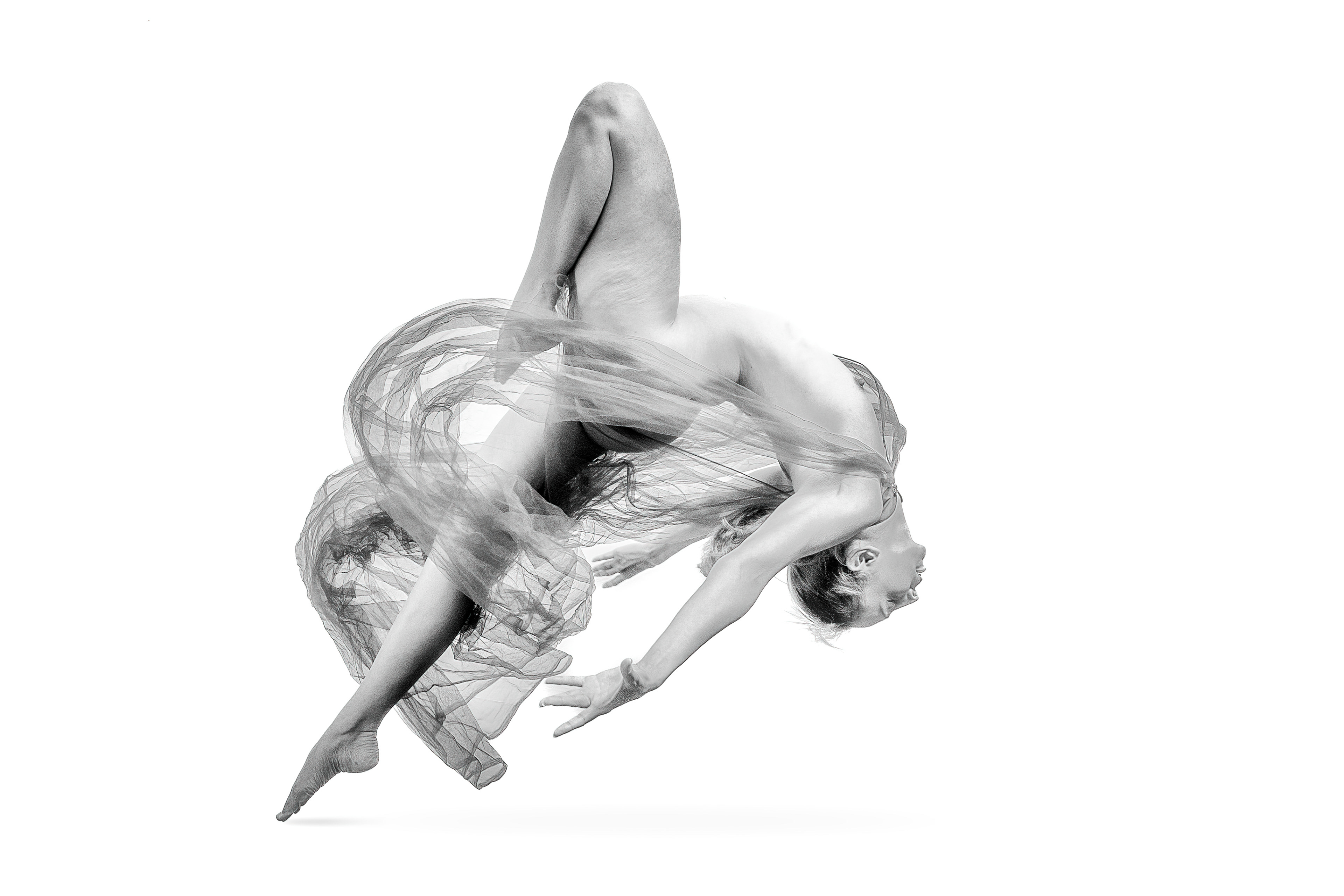 Sectie "Movement"