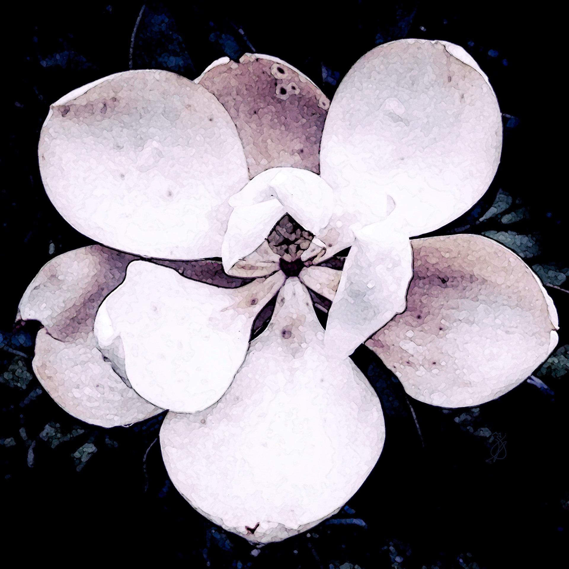 Altered Flowers - Fall 2021 - No. 005