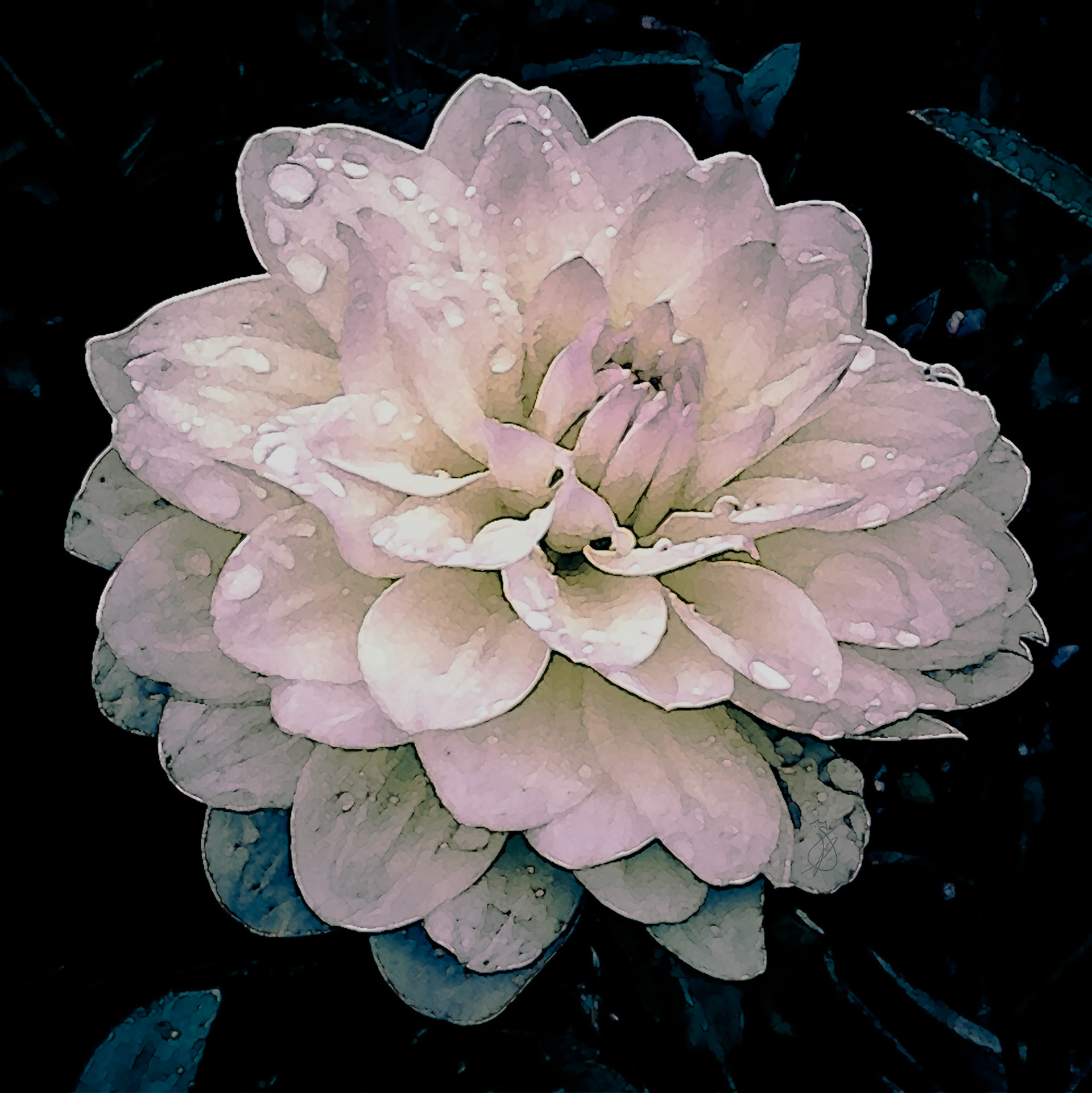 Altered Flowers - Fall 2021 - No. 001