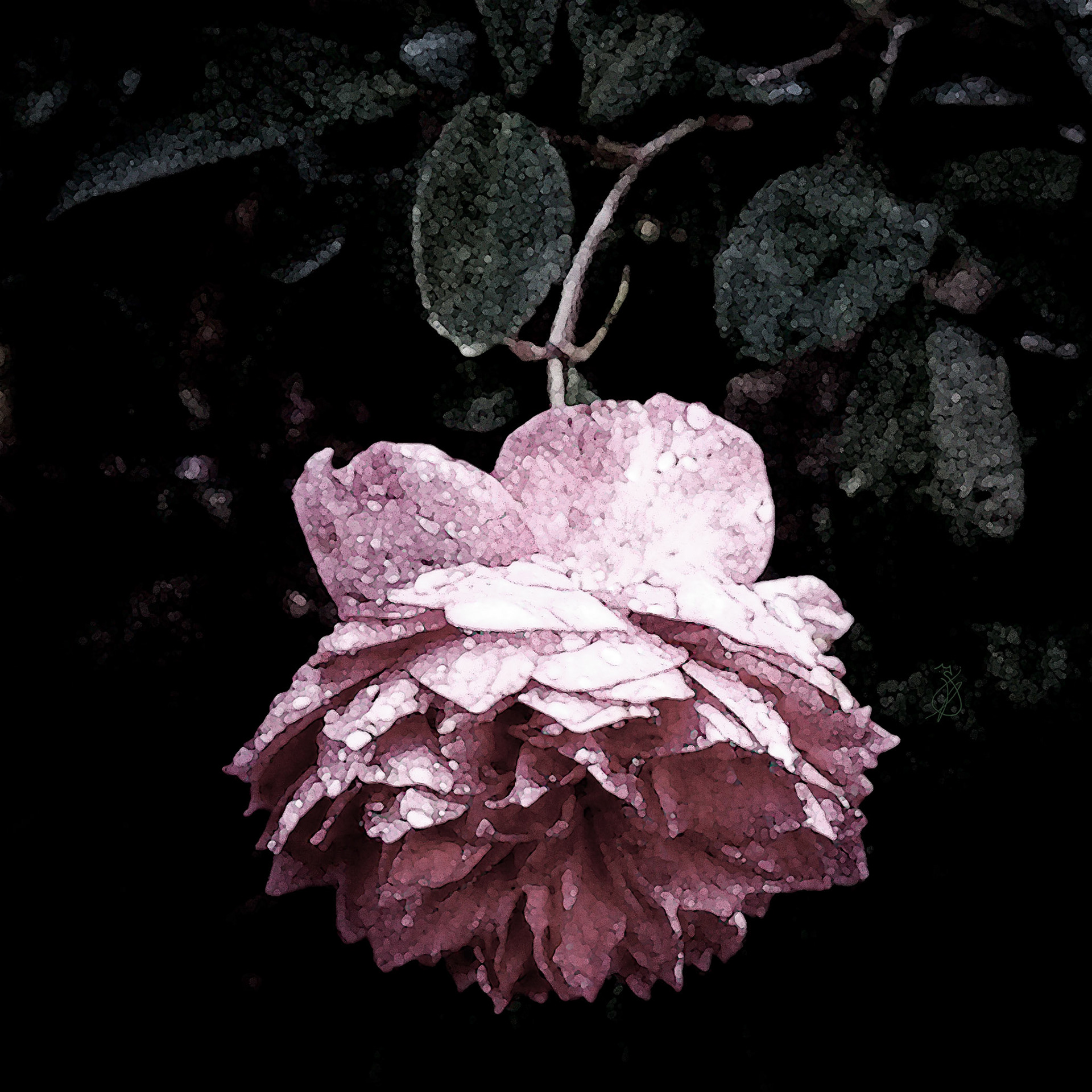 Altered Flowers - Fall 2021 - No. 004