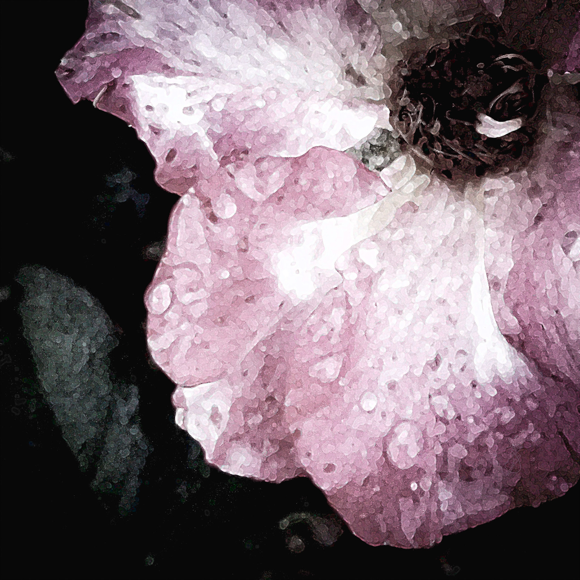 Altered Flowers - Fall 2021 - No. 003