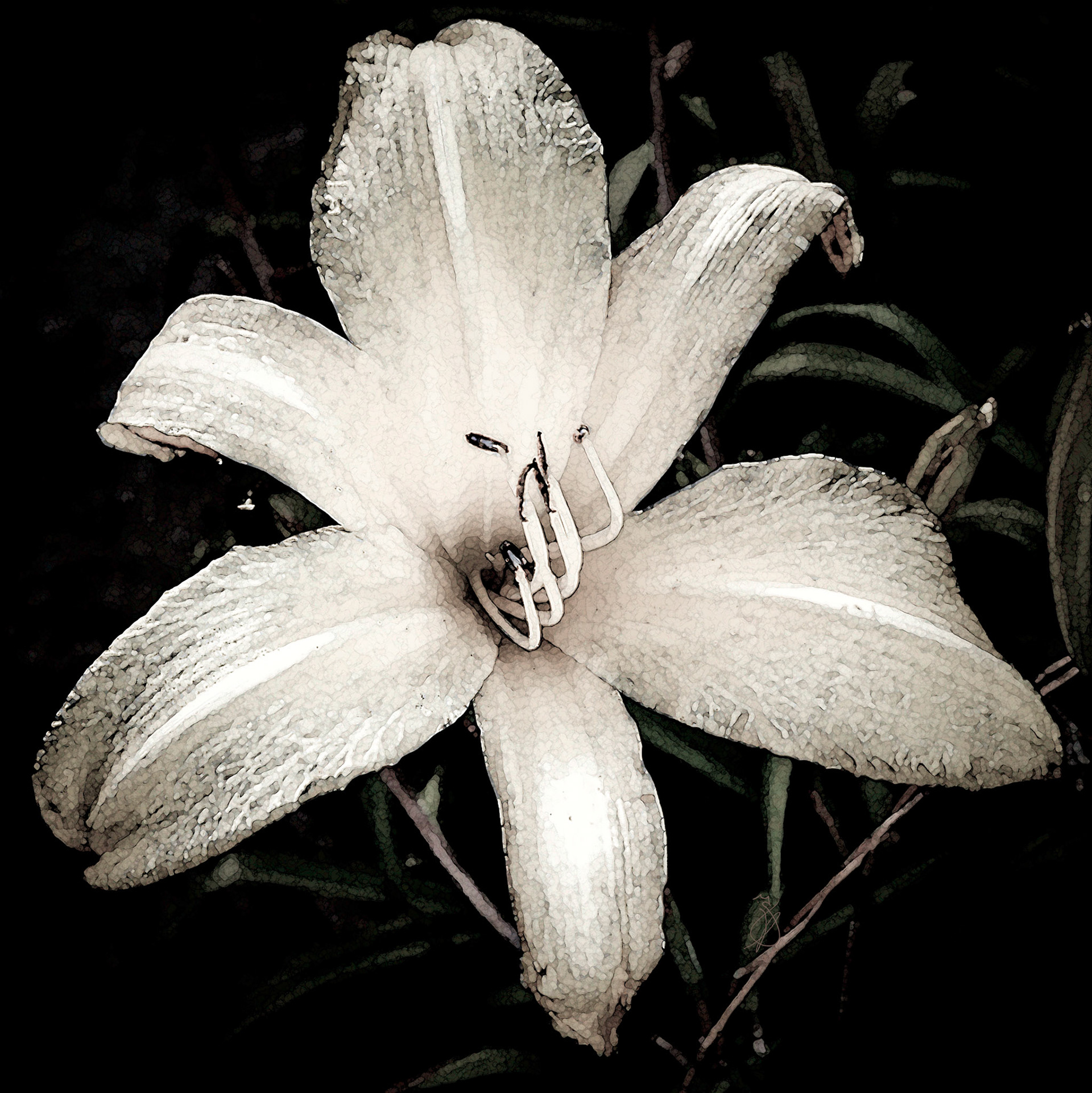 Altered Flowers - Summer 2022 - No. 001