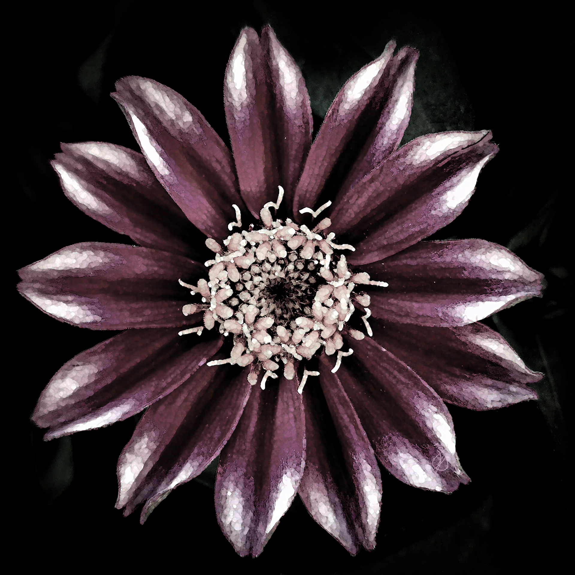 Altered Flowers - Summer 2022 - No. 002
