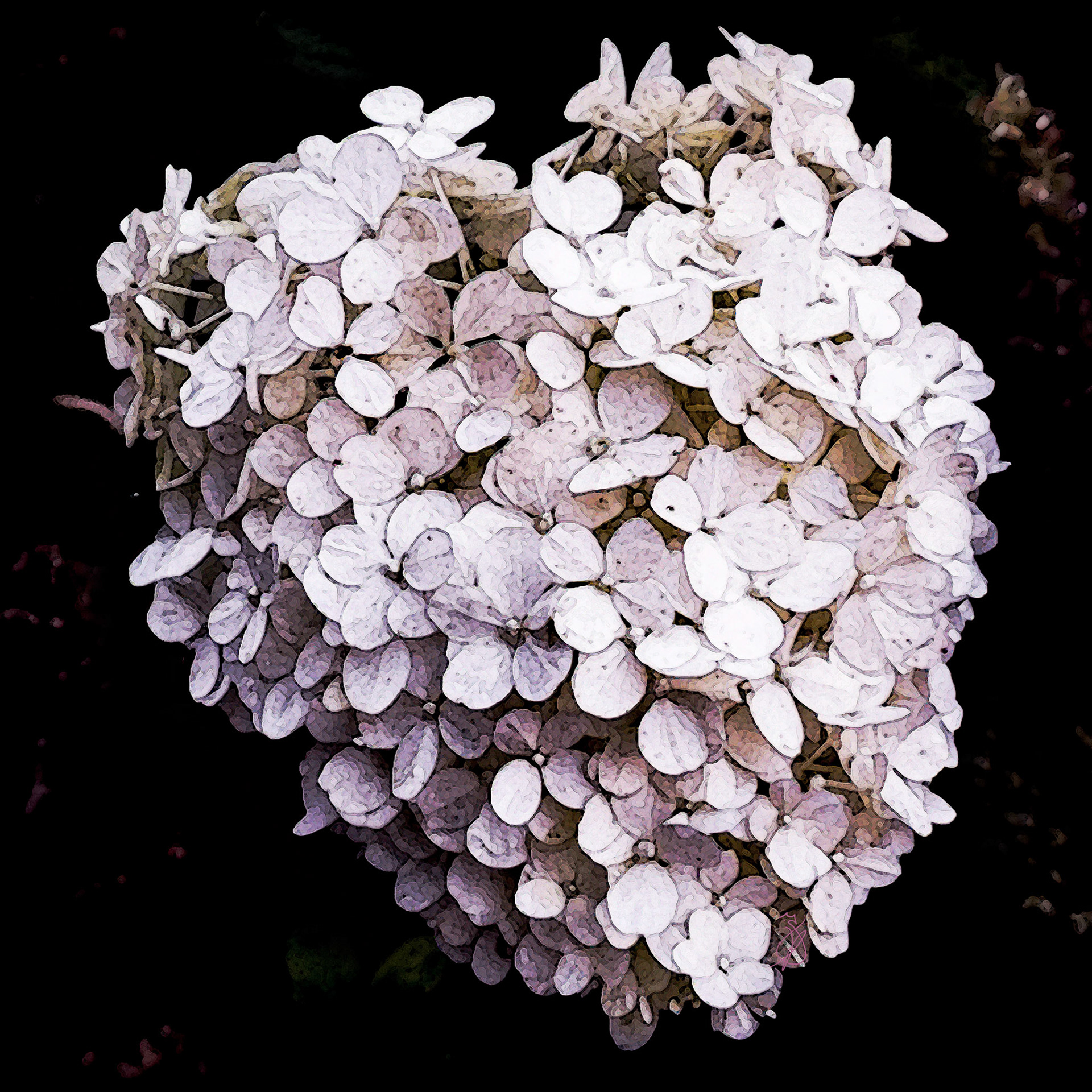 Altered Flowers - Fall 2021 - No. 002