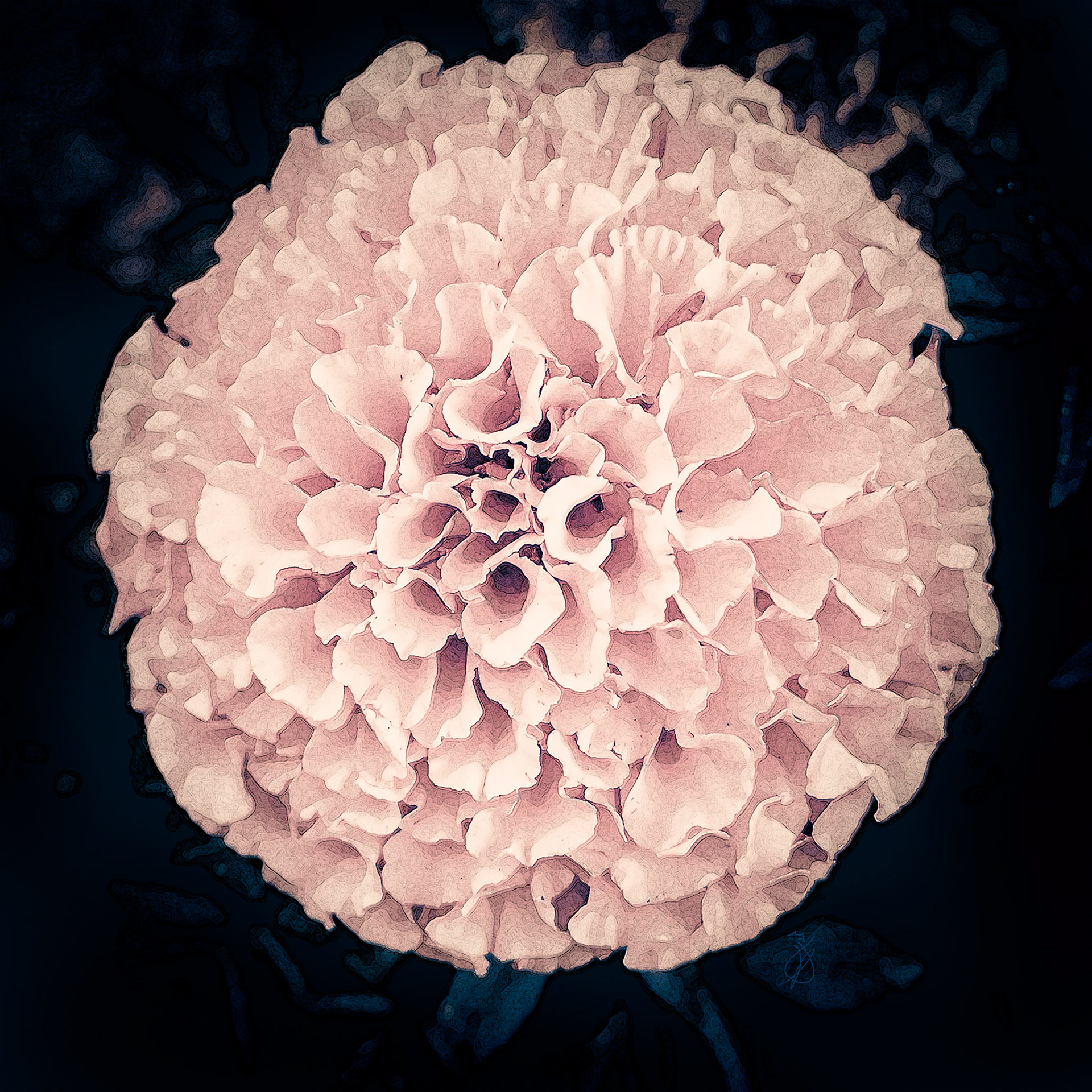Altered Flowers - Summer 2022 - No. 003