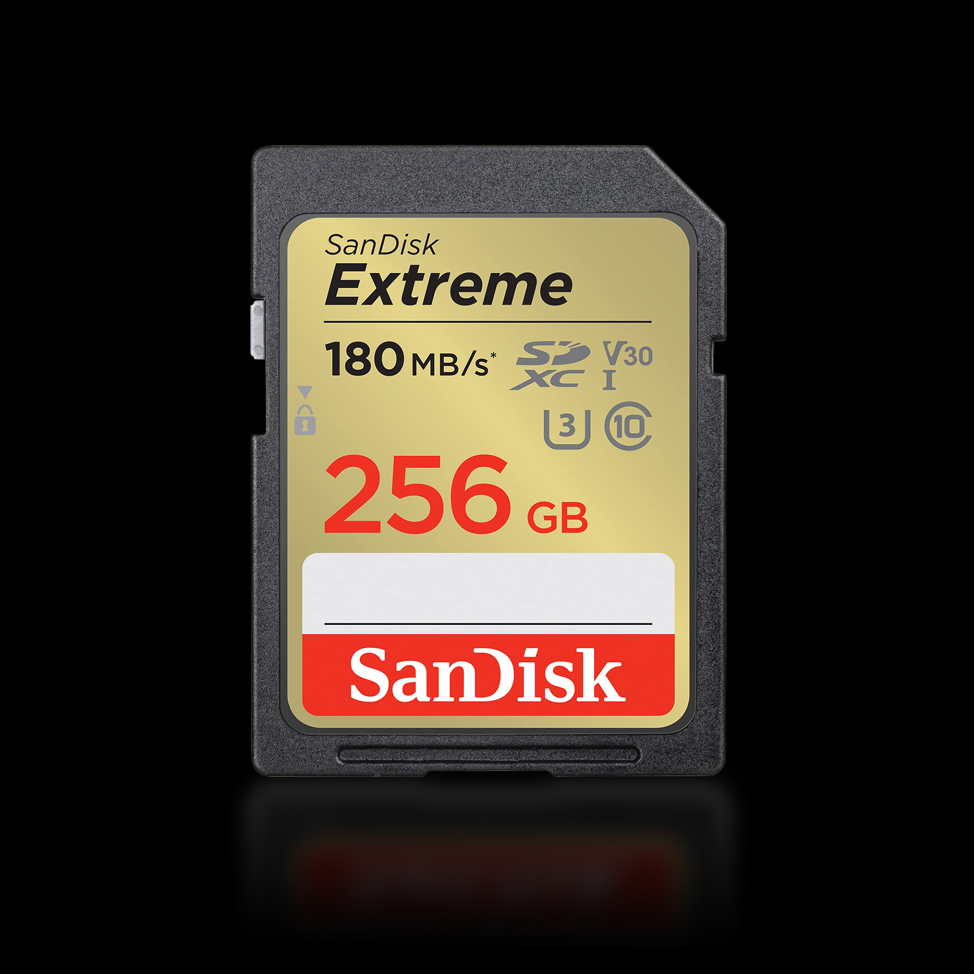 SandDisk SDXC memory card