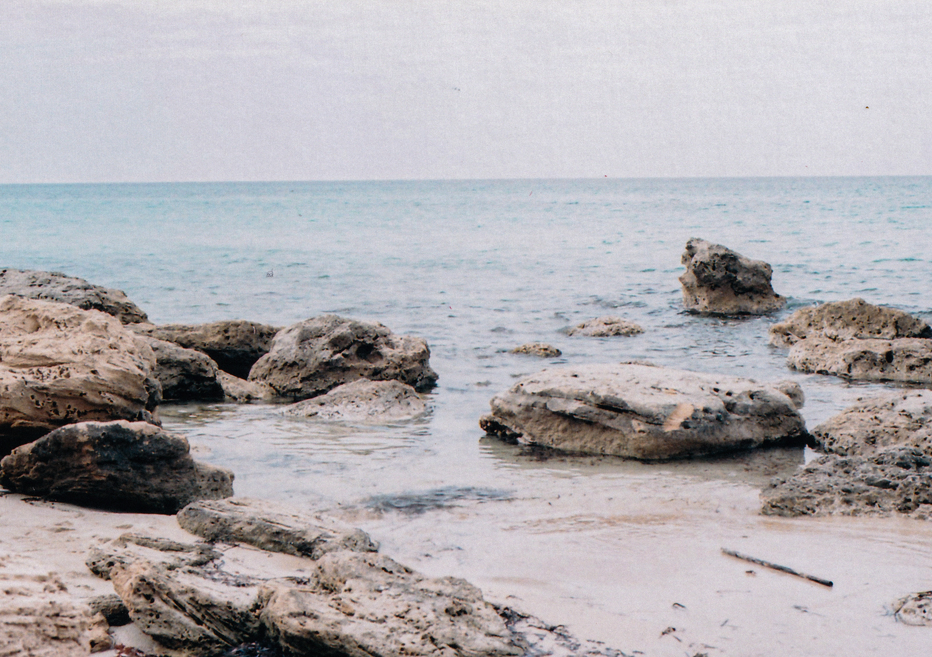 Low Tide, shot with Ricoh Shotmaster Zoom and Kodak Portra 400.